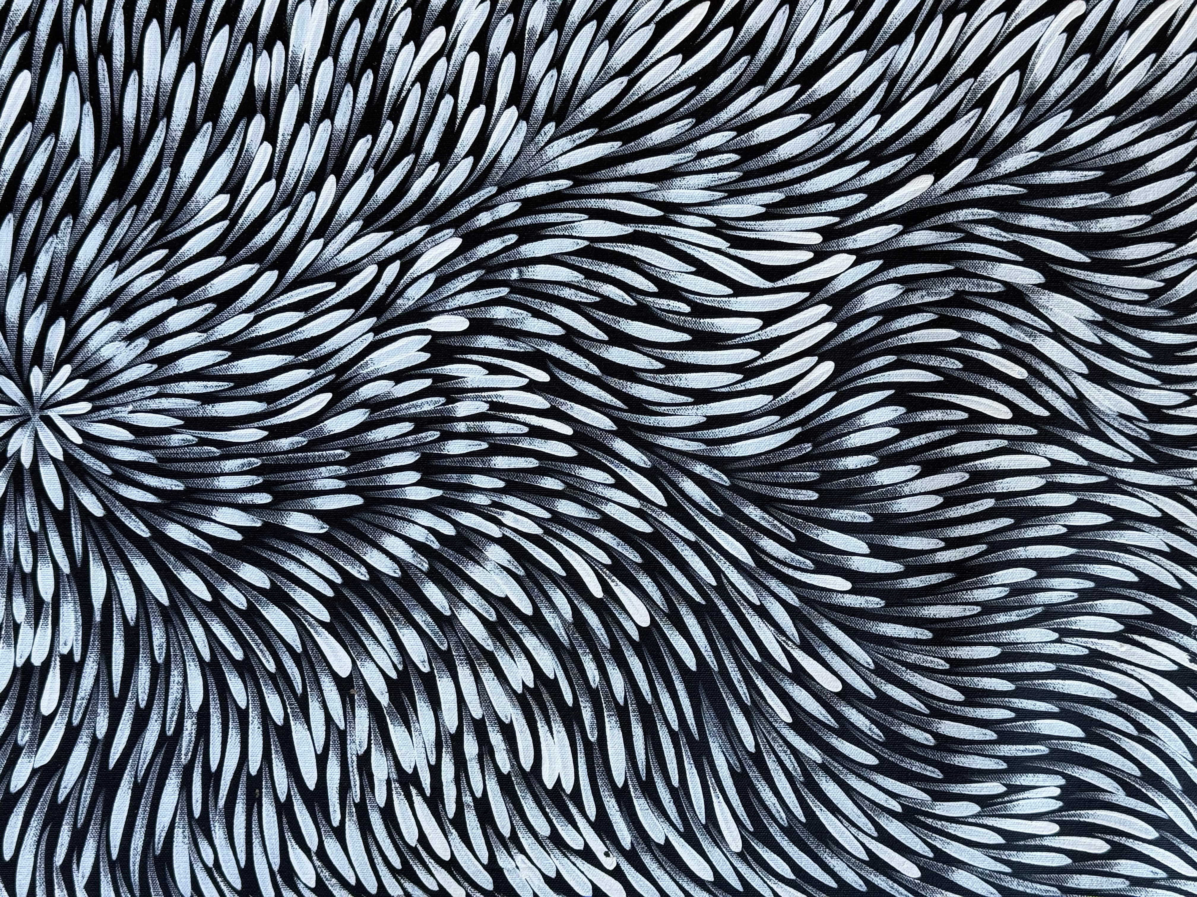 Sharon Numina - Bush Medicine Leaves .01-10