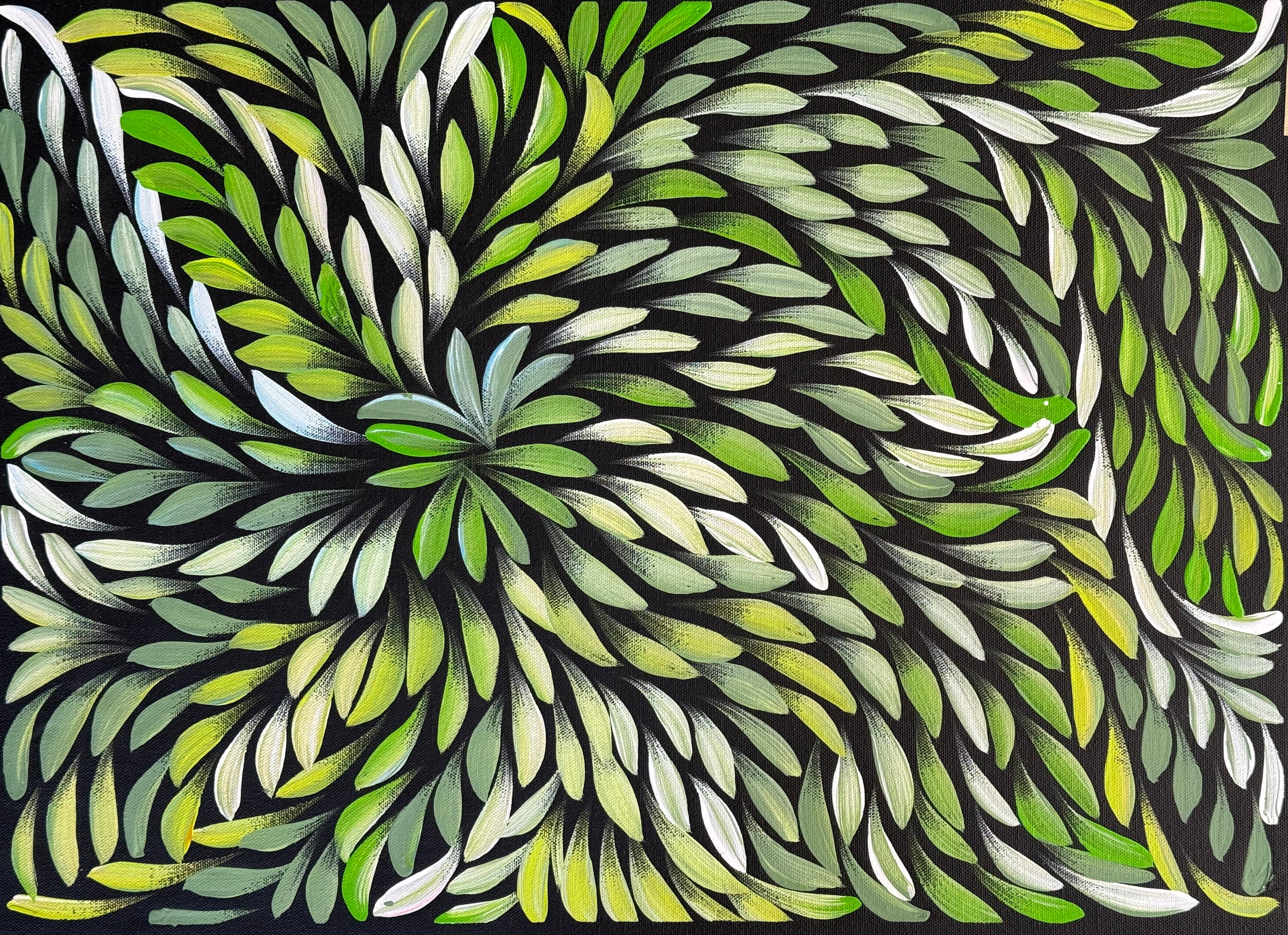 Caroline Numina - Bush Medicine Leaves .93-9