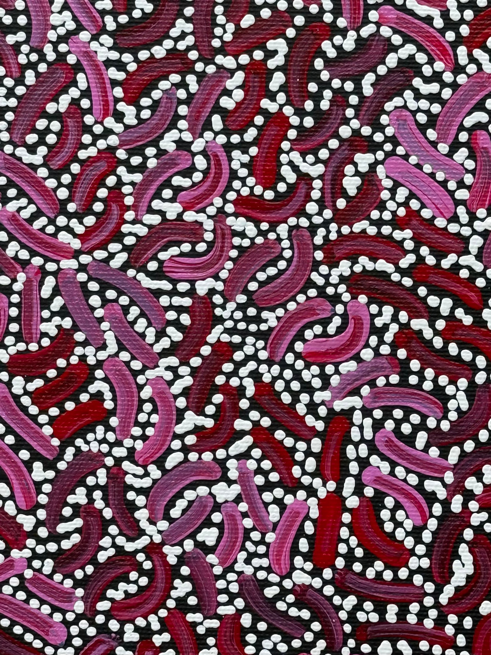 Nathania Nangala Granites - Warlukurlangu Jukurrpa (Fire Country Dreaming) - Stretched