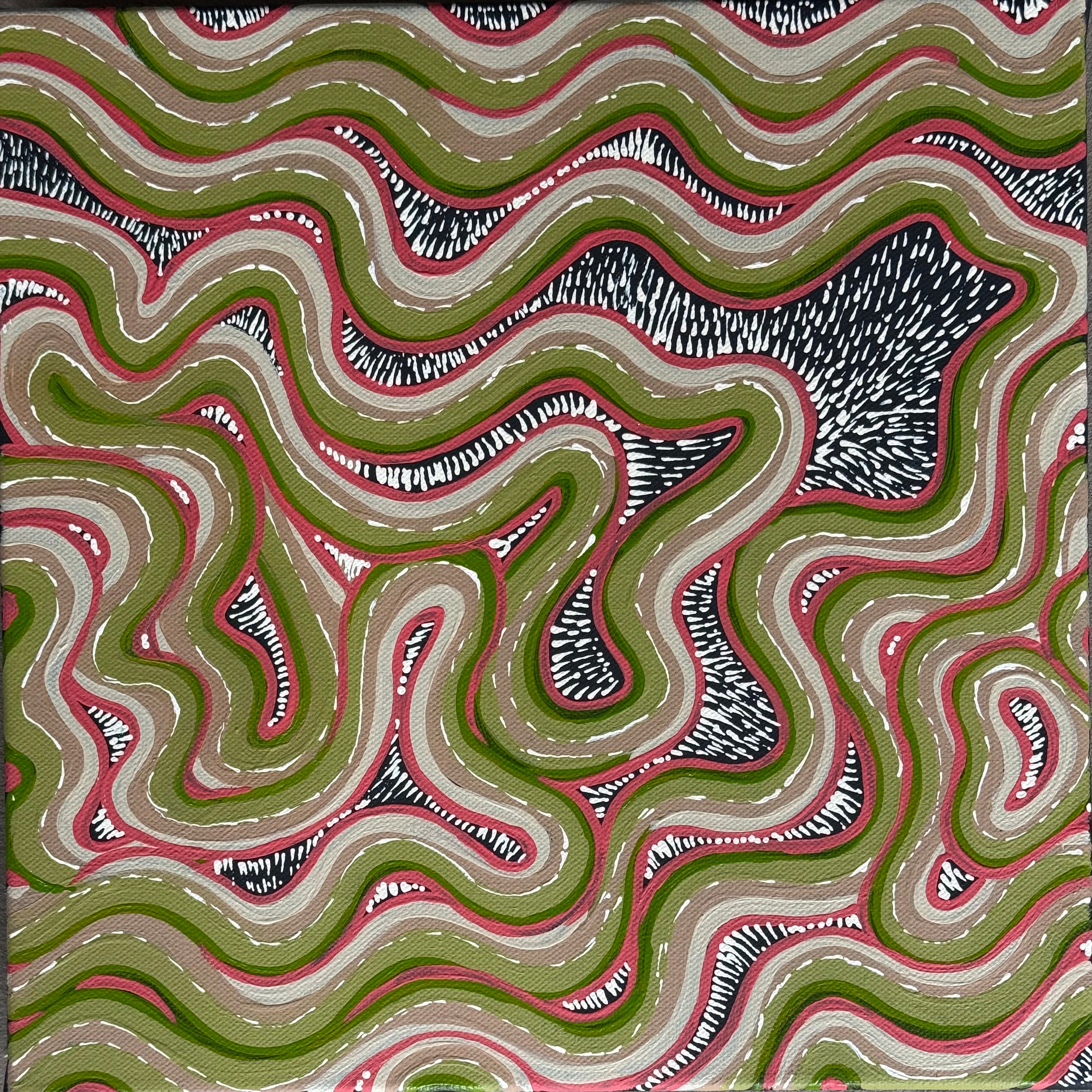 Deidre Burgoyne Rosier - Tracks Through The Land & Country .06-6 *pre-stretched*