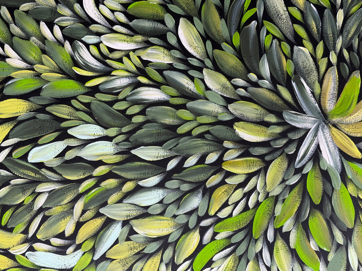 Louise Numina Napananka - Bush Medicine Leaves .22-25