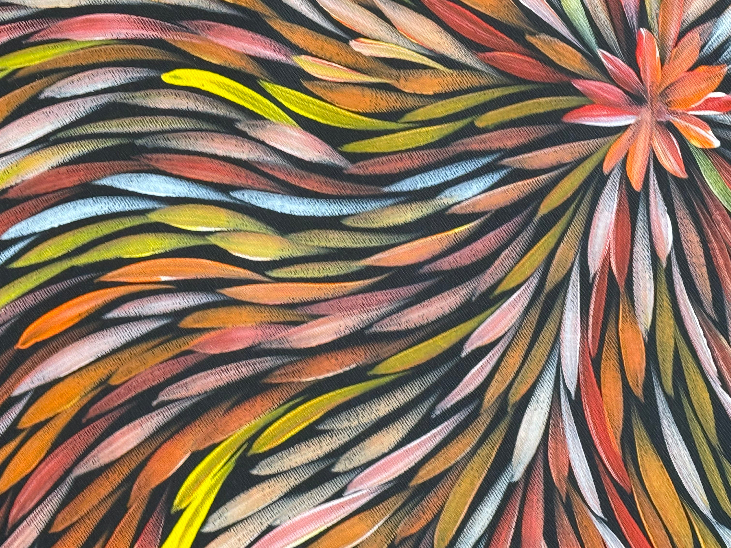 Sharon Numina - Bush Medicine Leaves .14-31