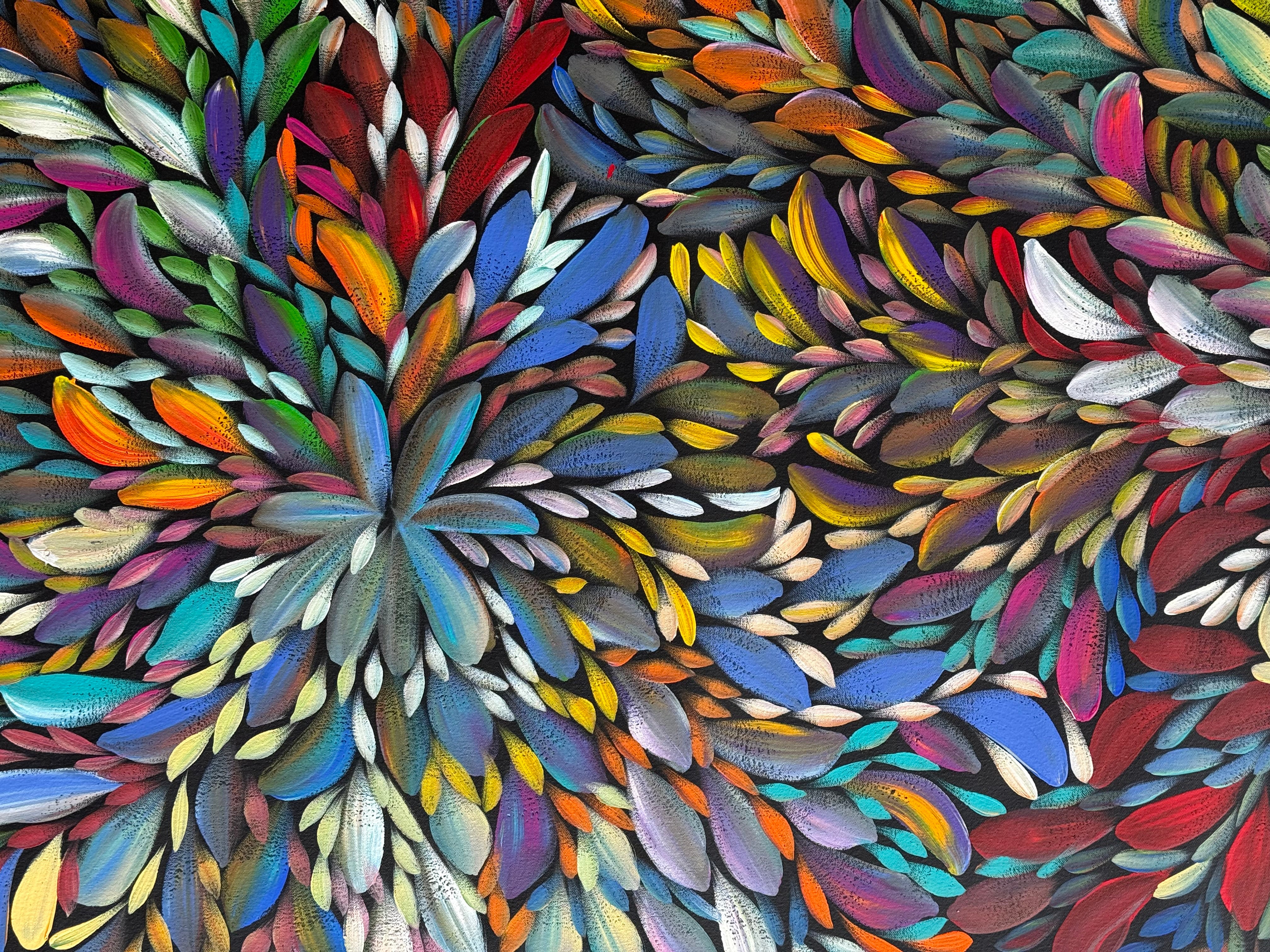 Louise Numina Napananka - Bush Medicine Leaves .65-13