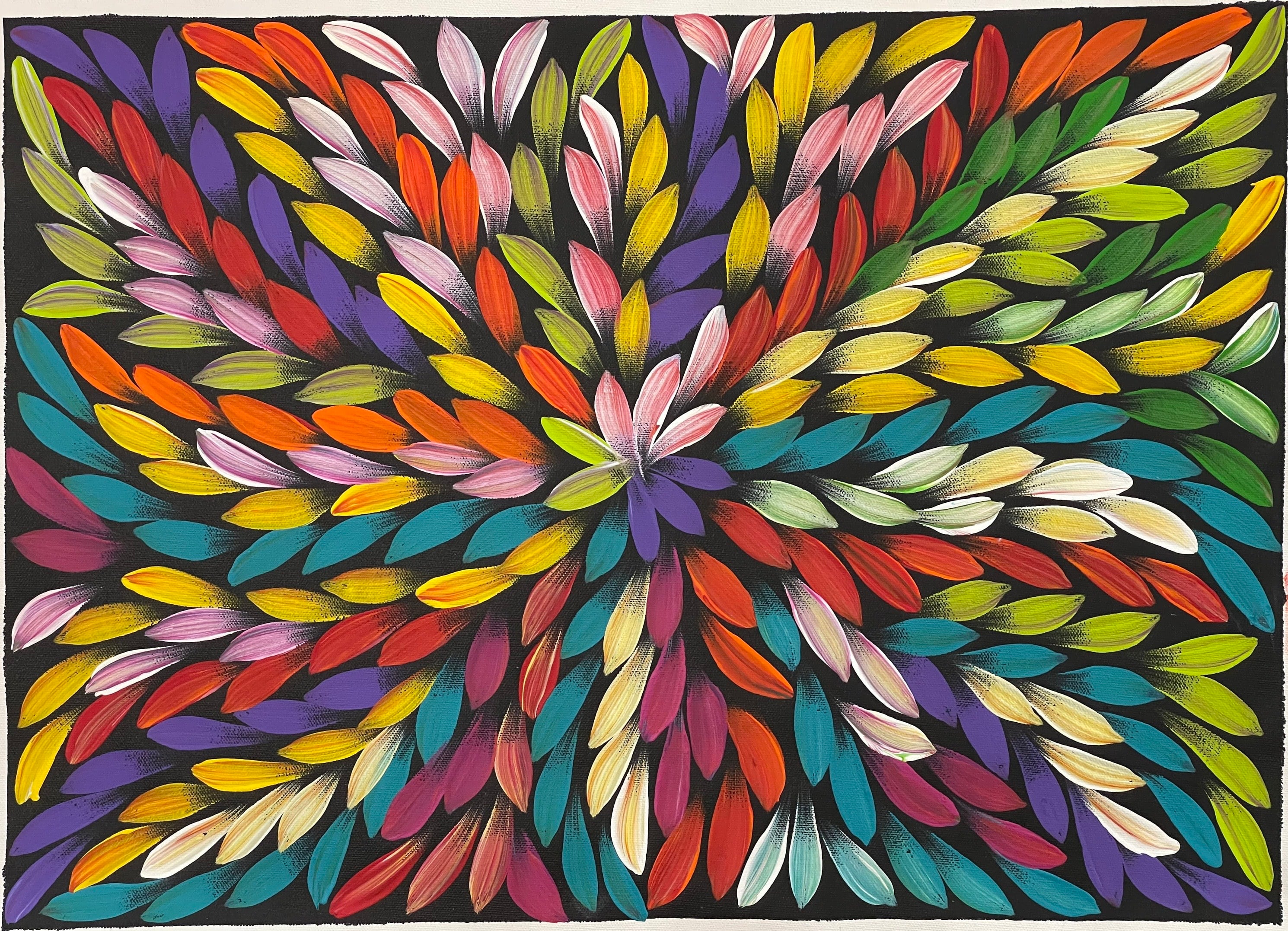 Jacinta Numina Waugh - Bush Medicine Leaves - 36x52cm .57-5