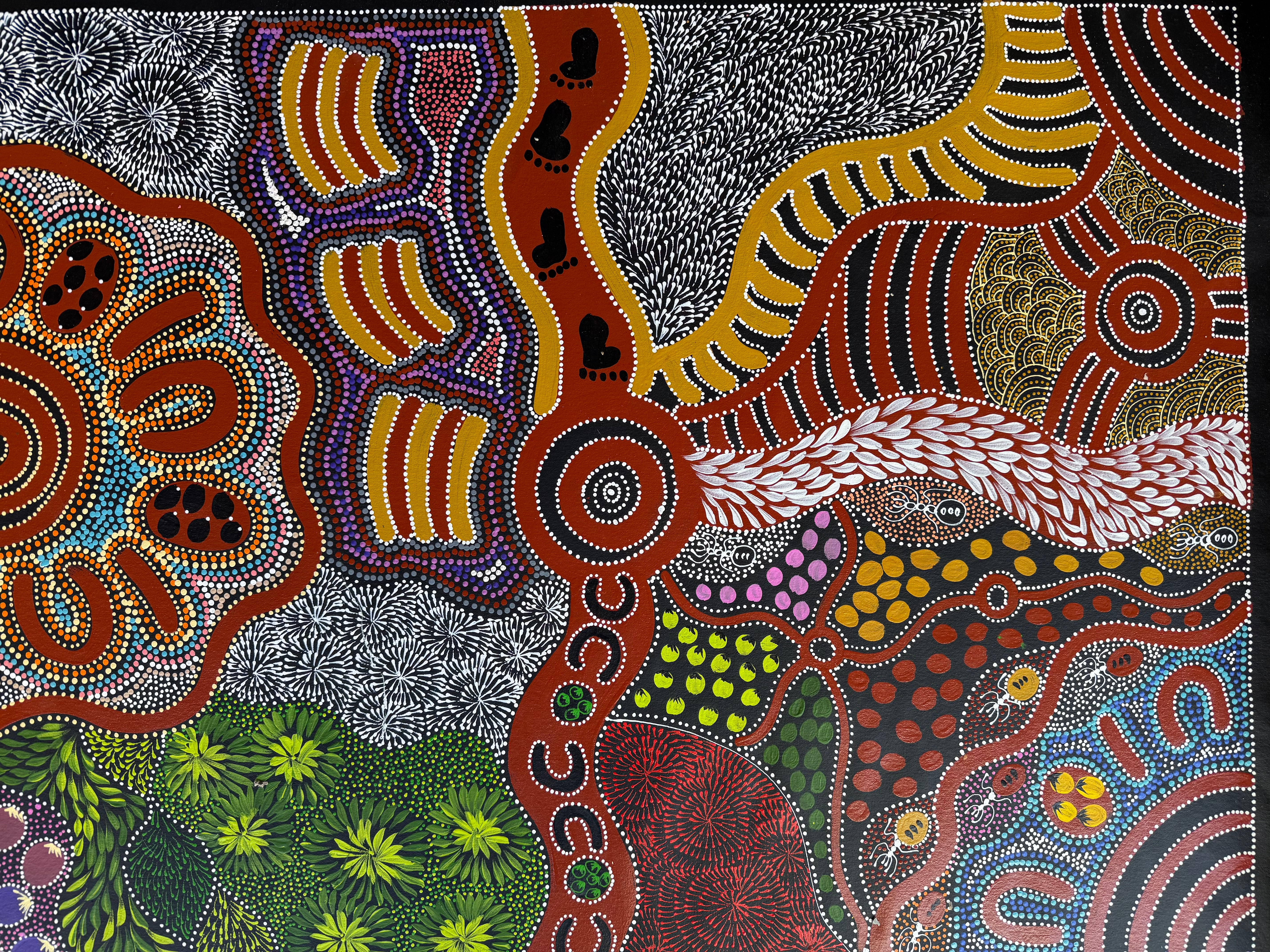 Caroline Numina - Women Collecting Bush Tucker .04-3