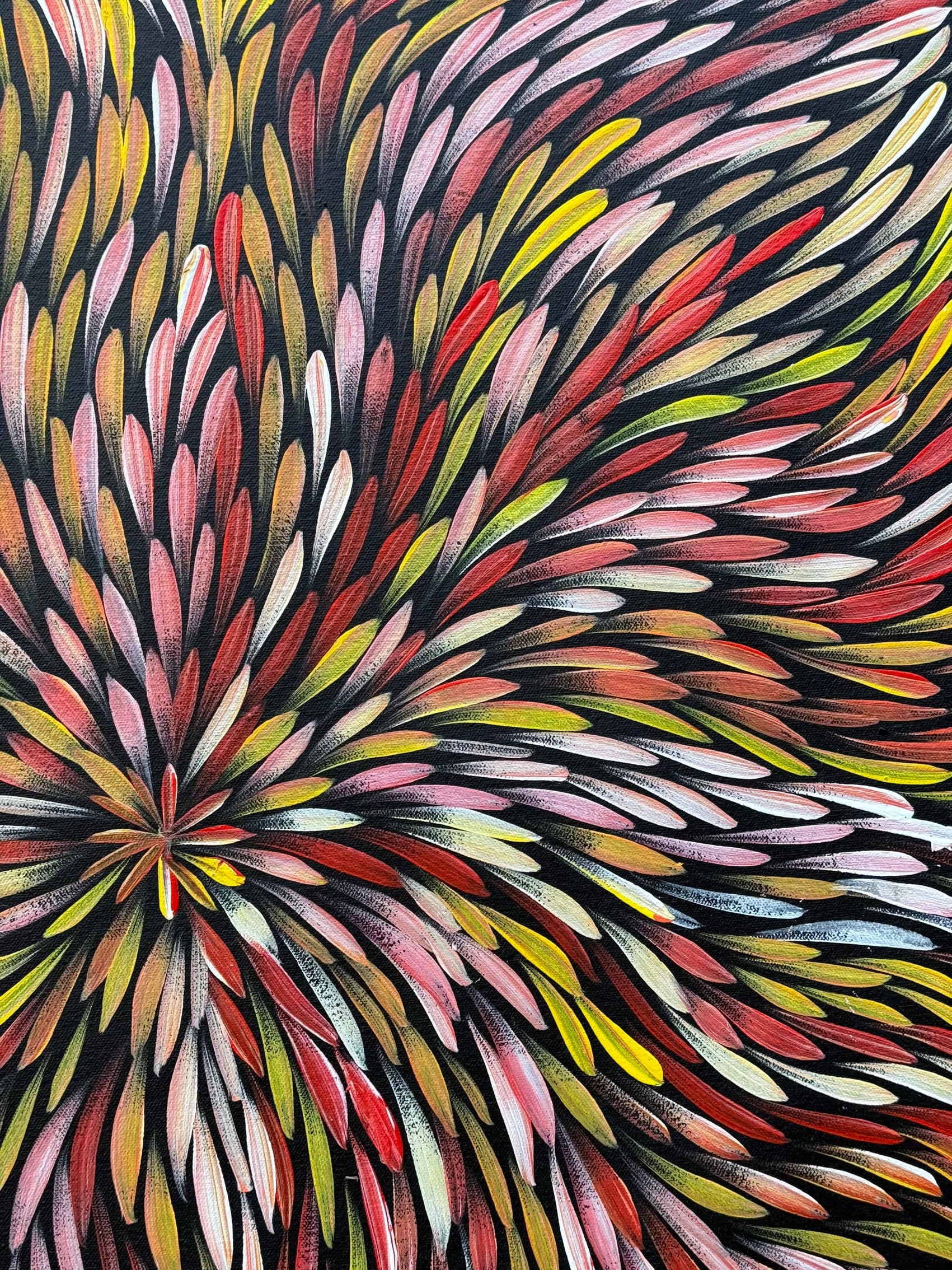 Sharon Numina - Bush Medicine Leaves .68-5