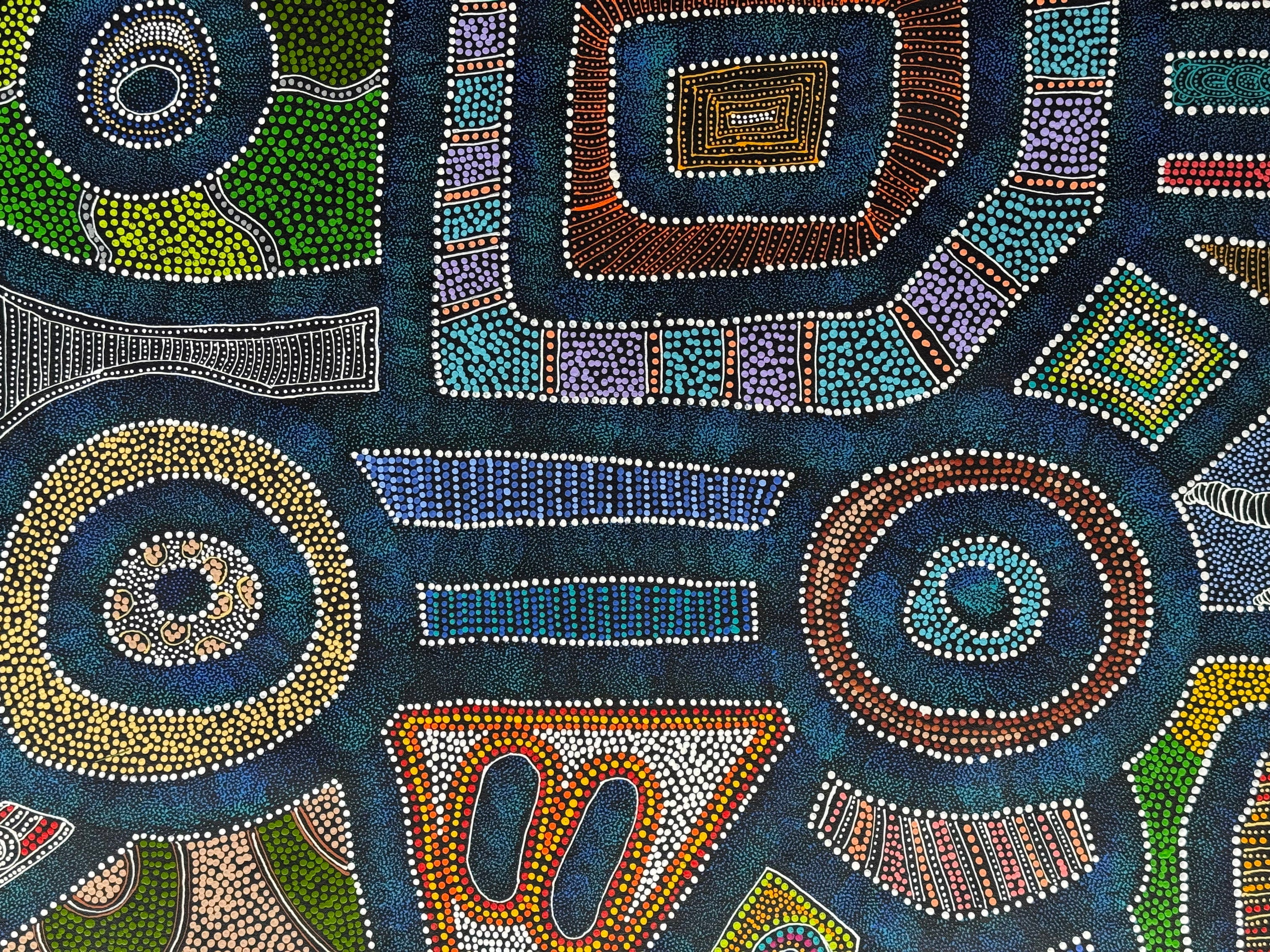 Sharon Turner - Thorny Lizard Dreaming - 168x97cm .06