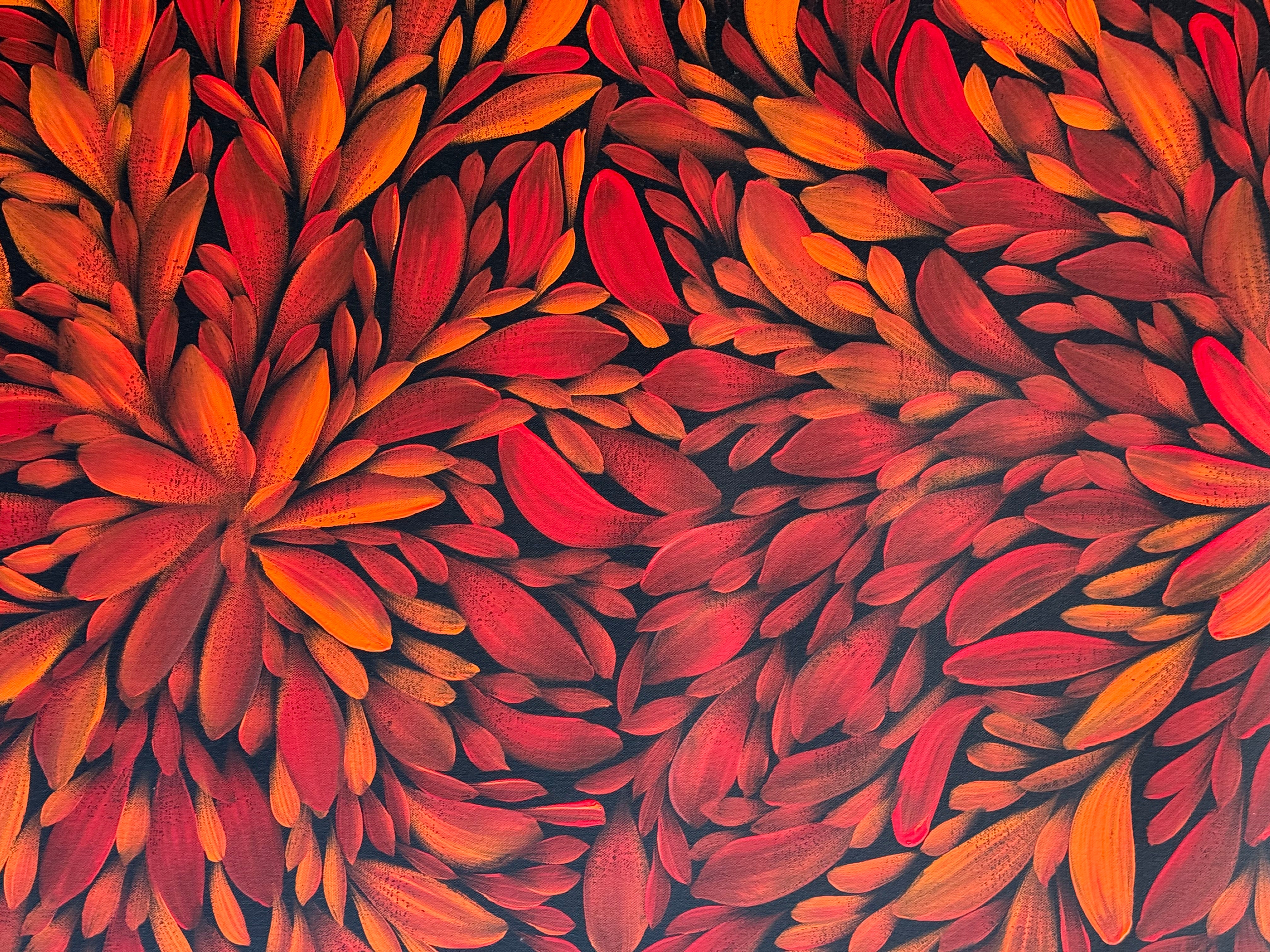 Louise Numina Napananka - Bush Medicine Leaves .57-57