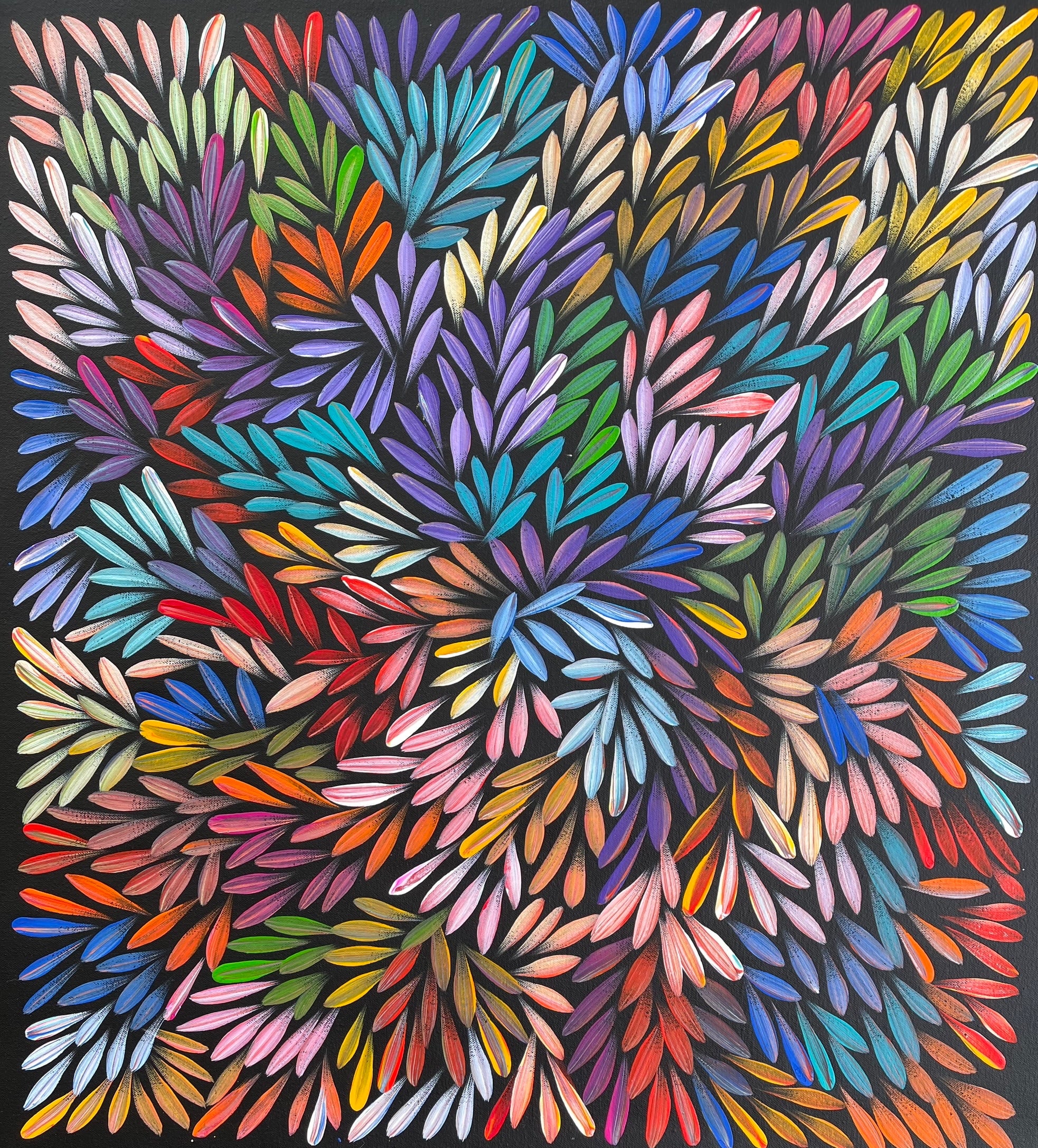 Sharon Numina - Bush Medicine Leaves - 55x61cm .28-12