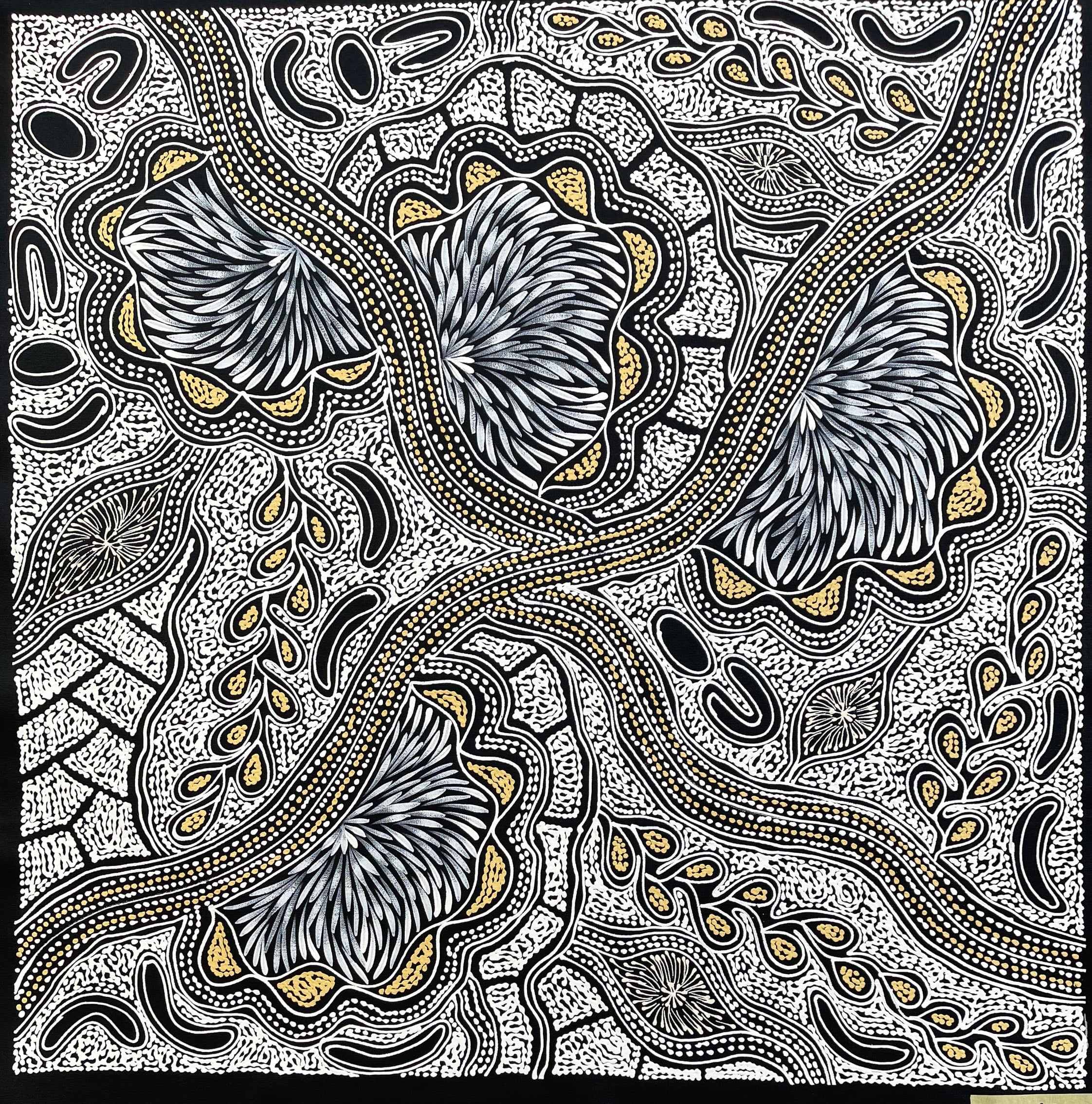 Sharon Numina - My Country Dreaming - 94x95cm .53-3