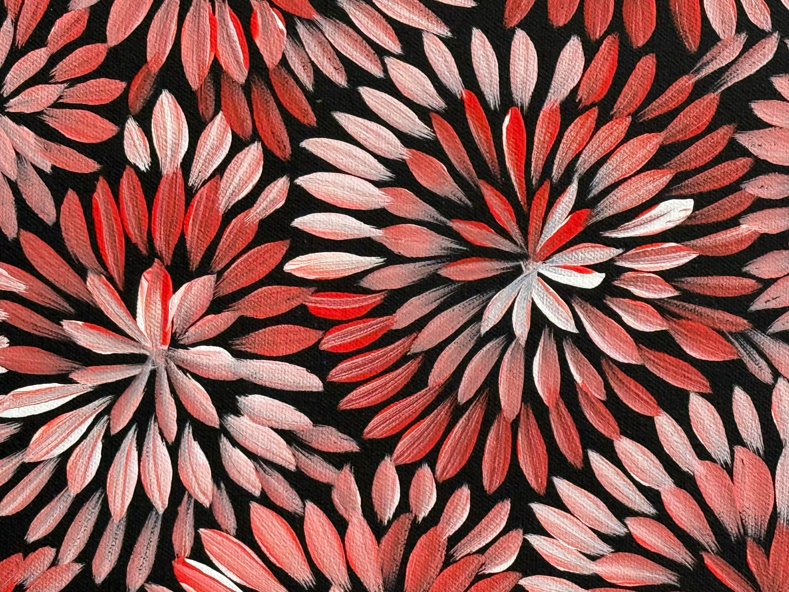 Sharon Numina - Bush Medicine Leaves .14-10