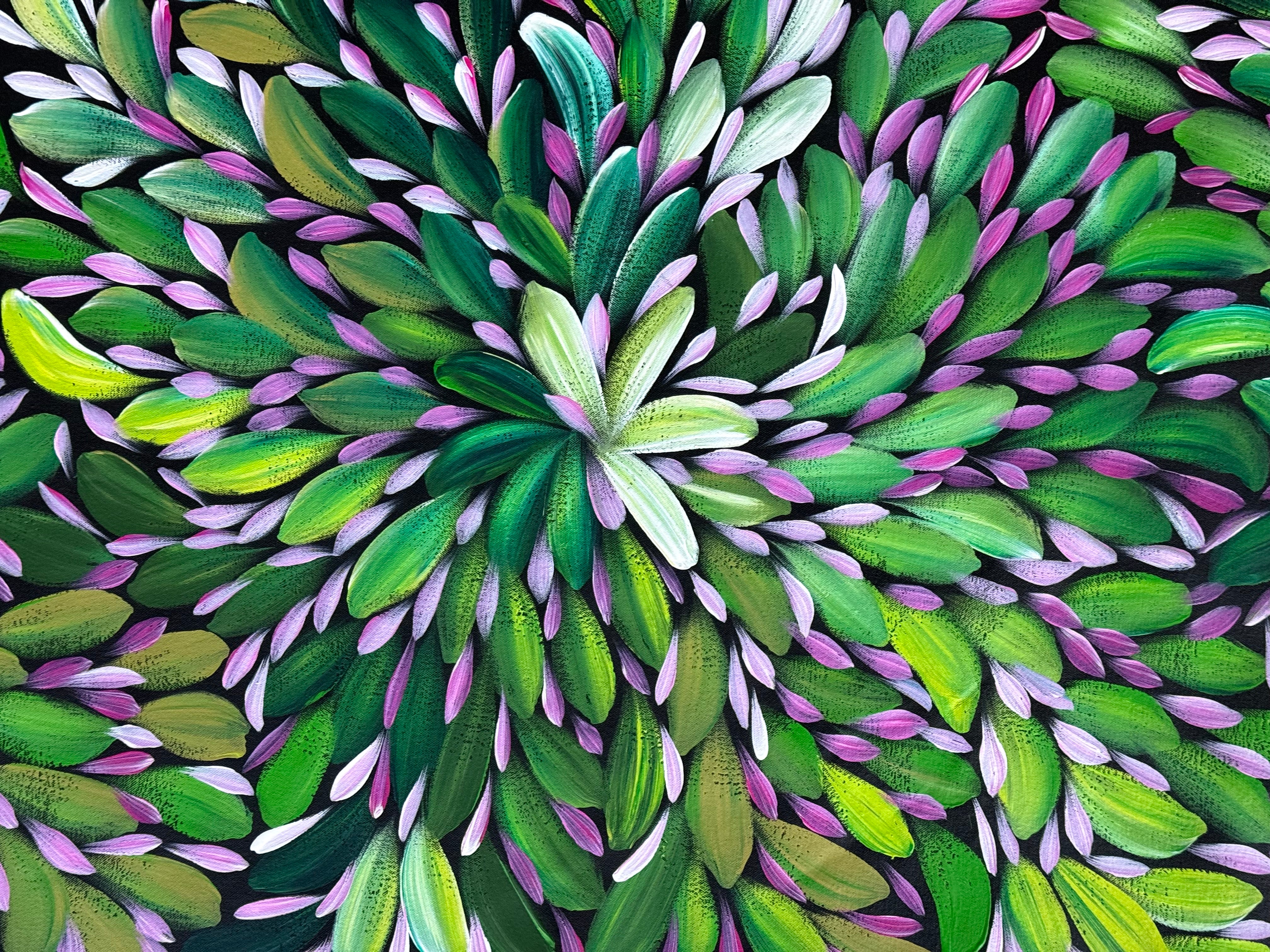 Louise Numina Napananka - Bush Medicine Leaves .16-32