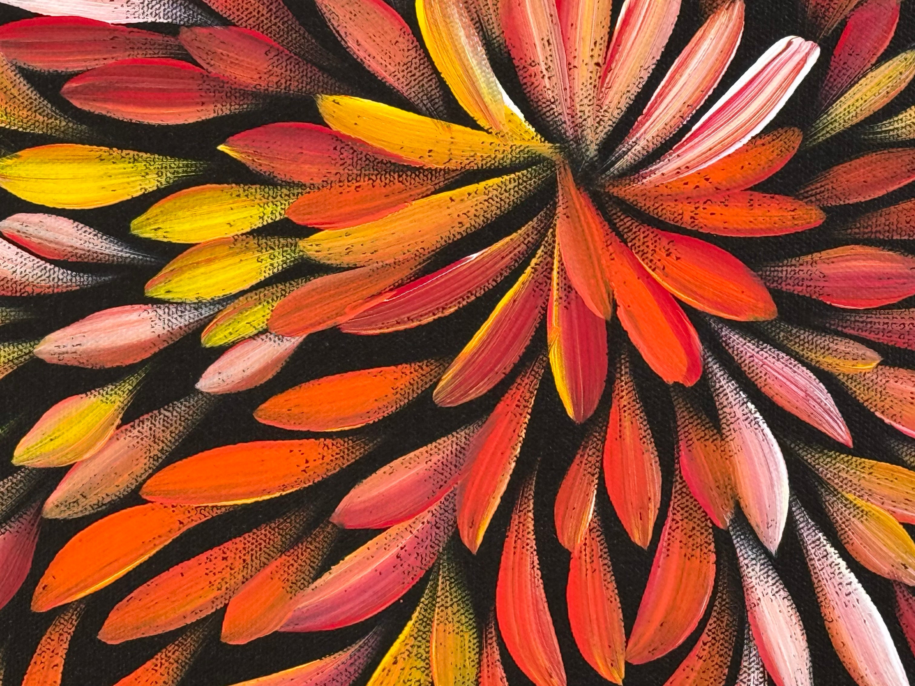 Louise Numina Napananka - Bush Medicine Leaves .60-23