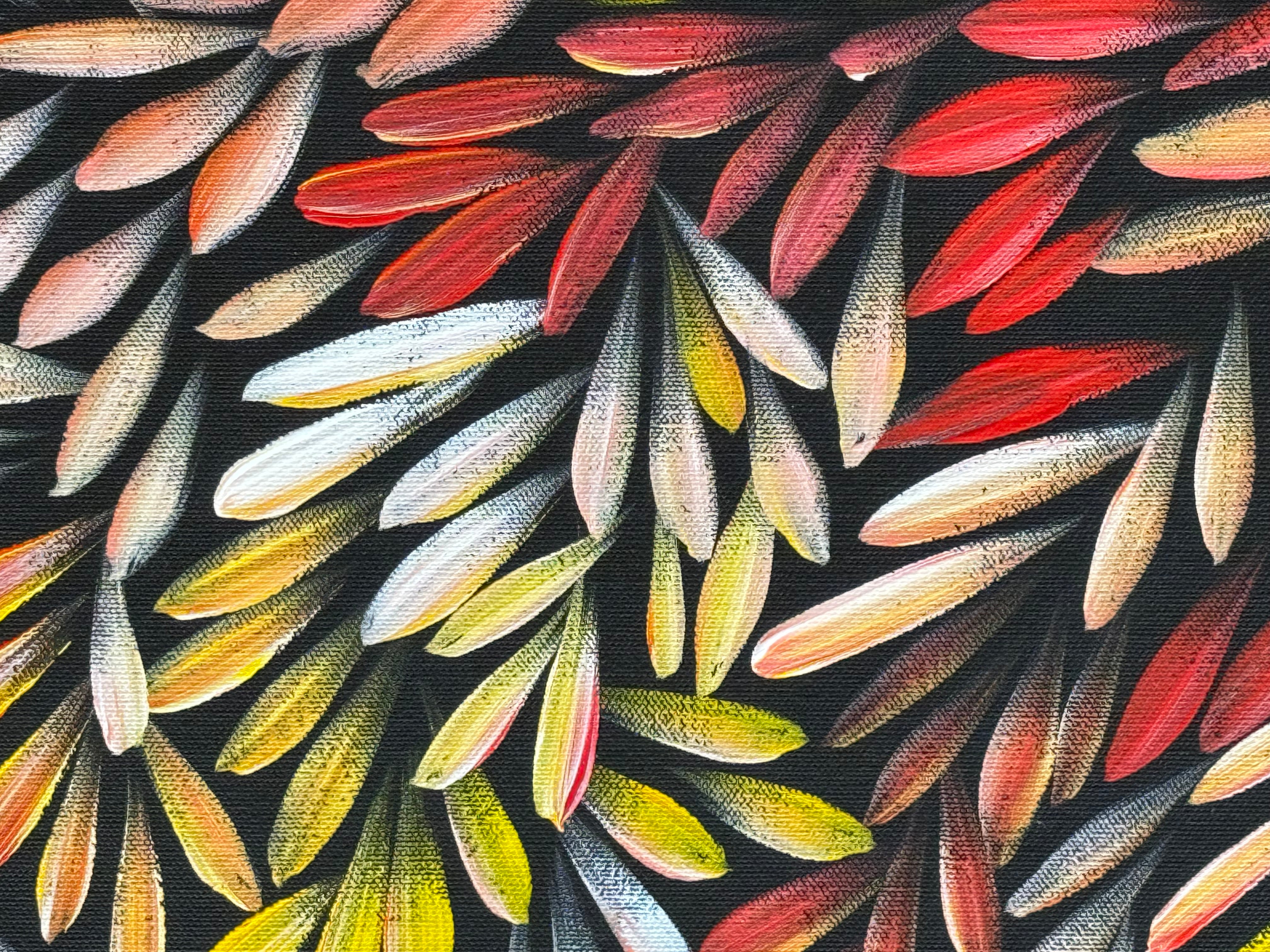 Sharon Numina - Bush Medicine Leaves .95-4