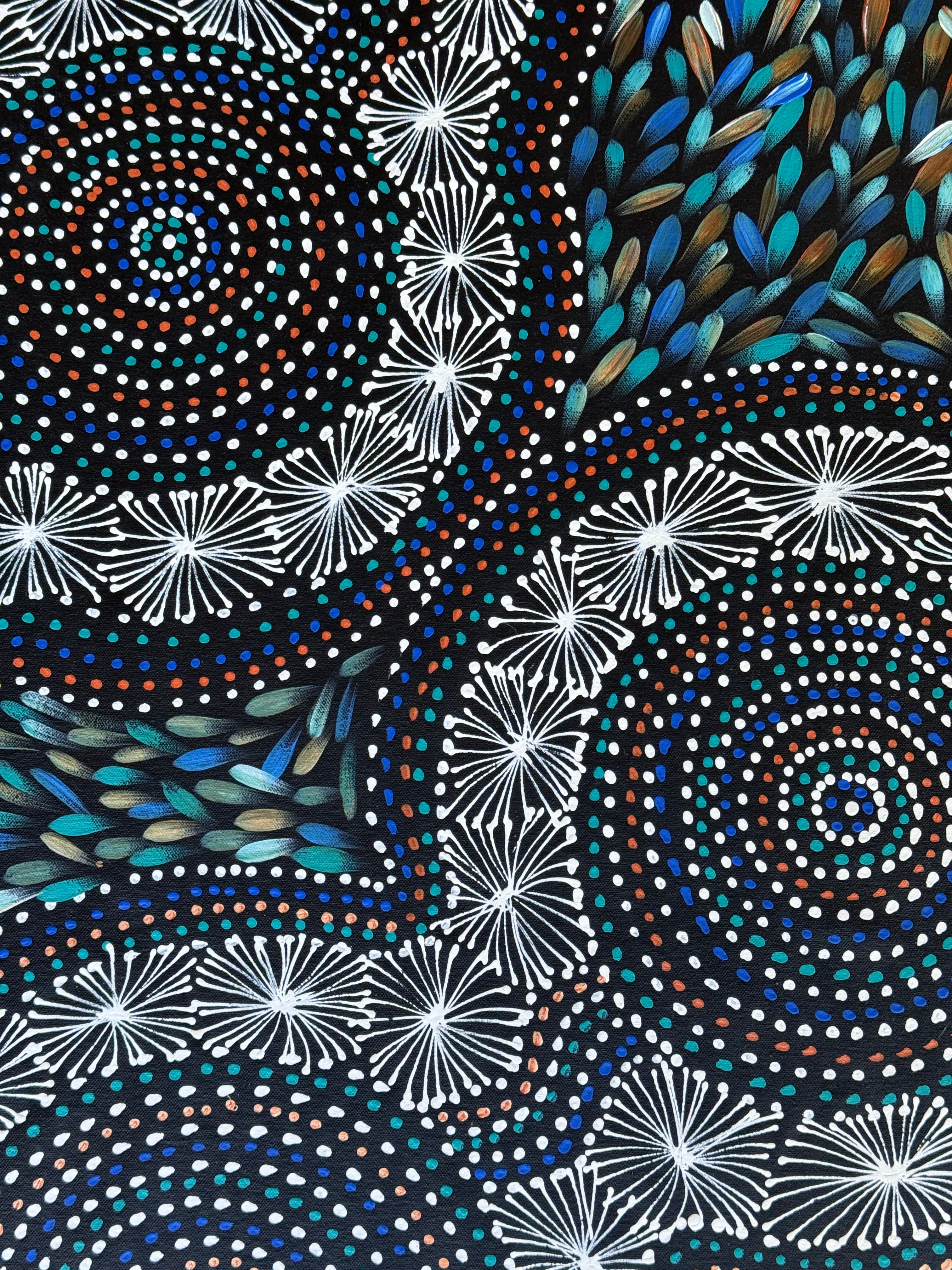 Selina Numina Kamprina - Seeds and Waterholes .92-16