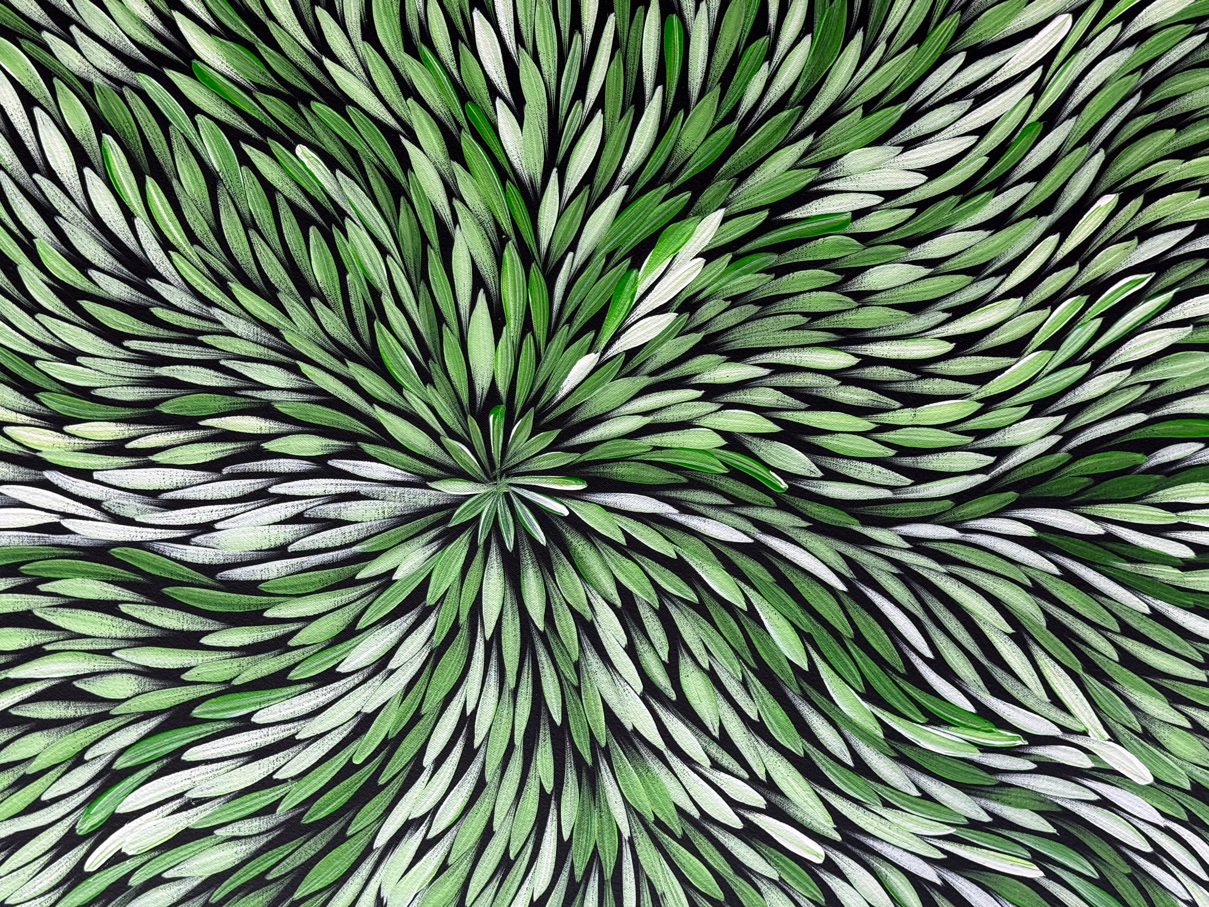 Sharon Numina - Bush Medicine Leaves .33-4