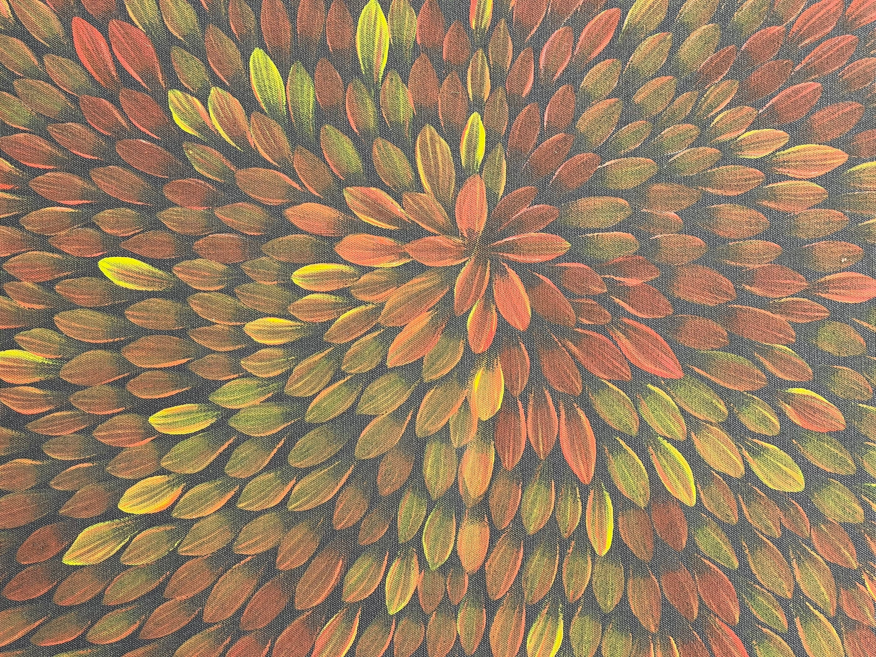 Maryanne Gibson - Bush Medicine .24-2