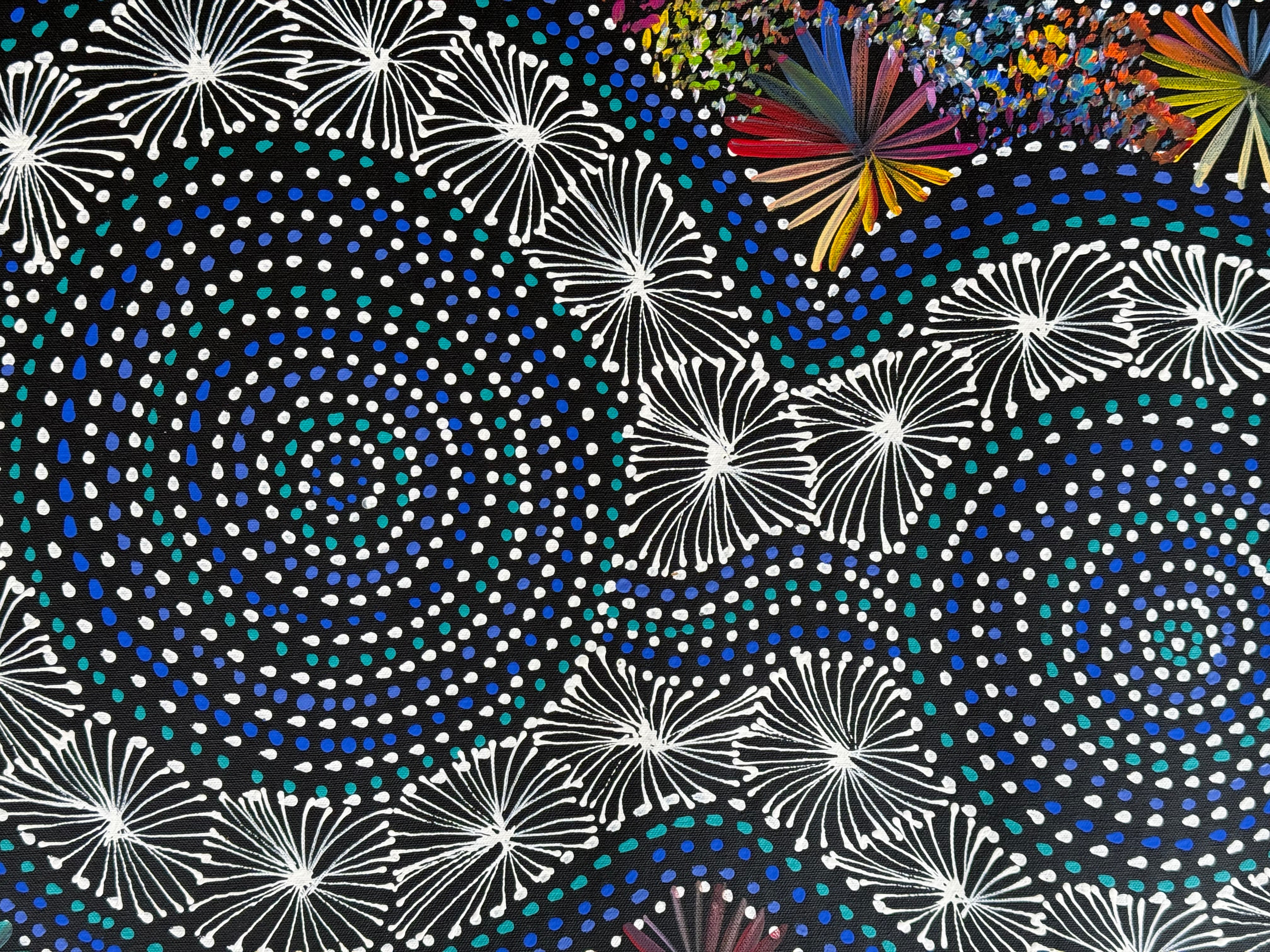 Selina Numina Kamprina - Seeds and Waterholes .92-24