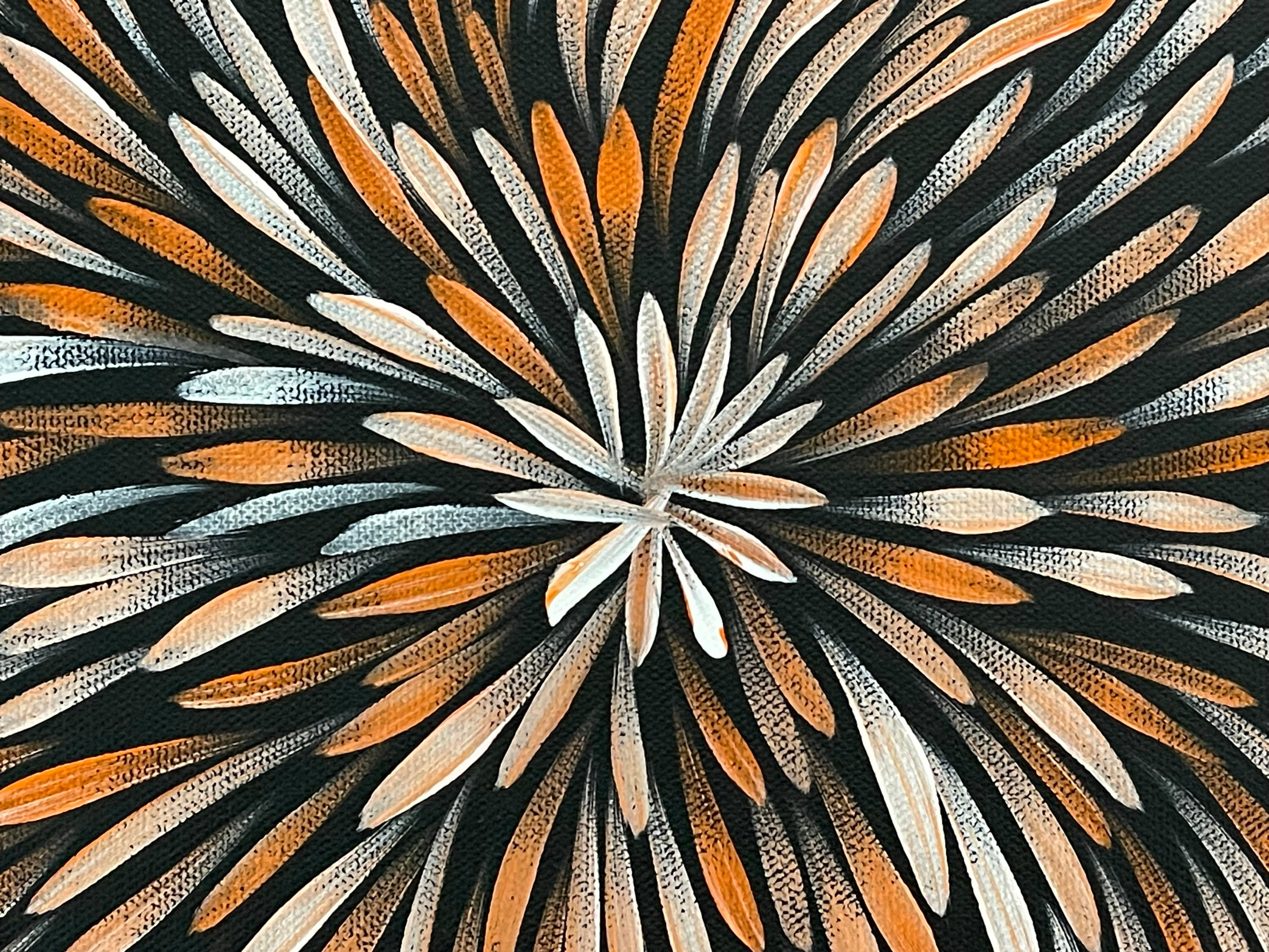 Sharon Numina - Bush Medicine Leaves- 33x42cm .63-12