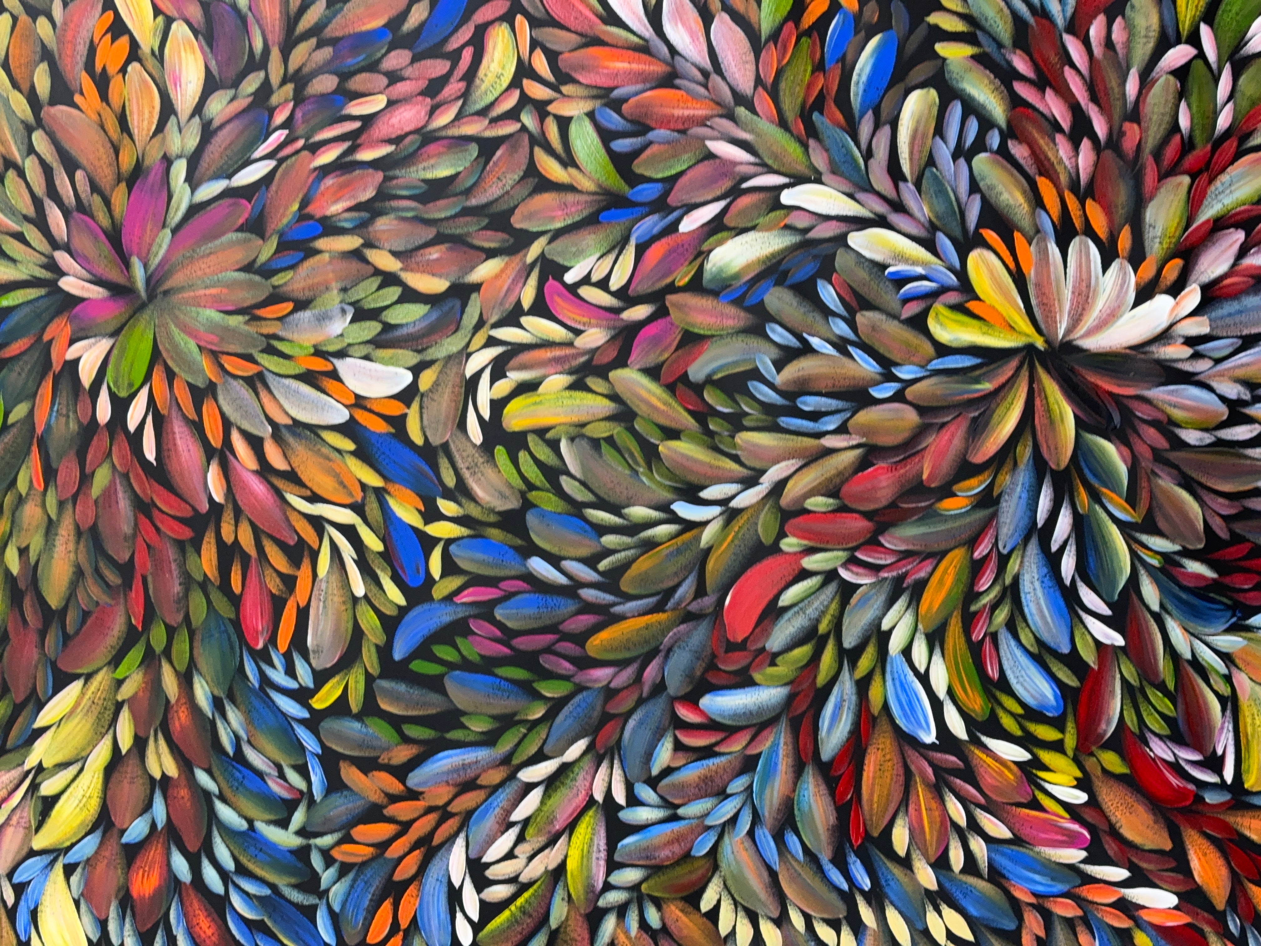 Louise Numina Napananka - Bush Medicine Leaves .30-15