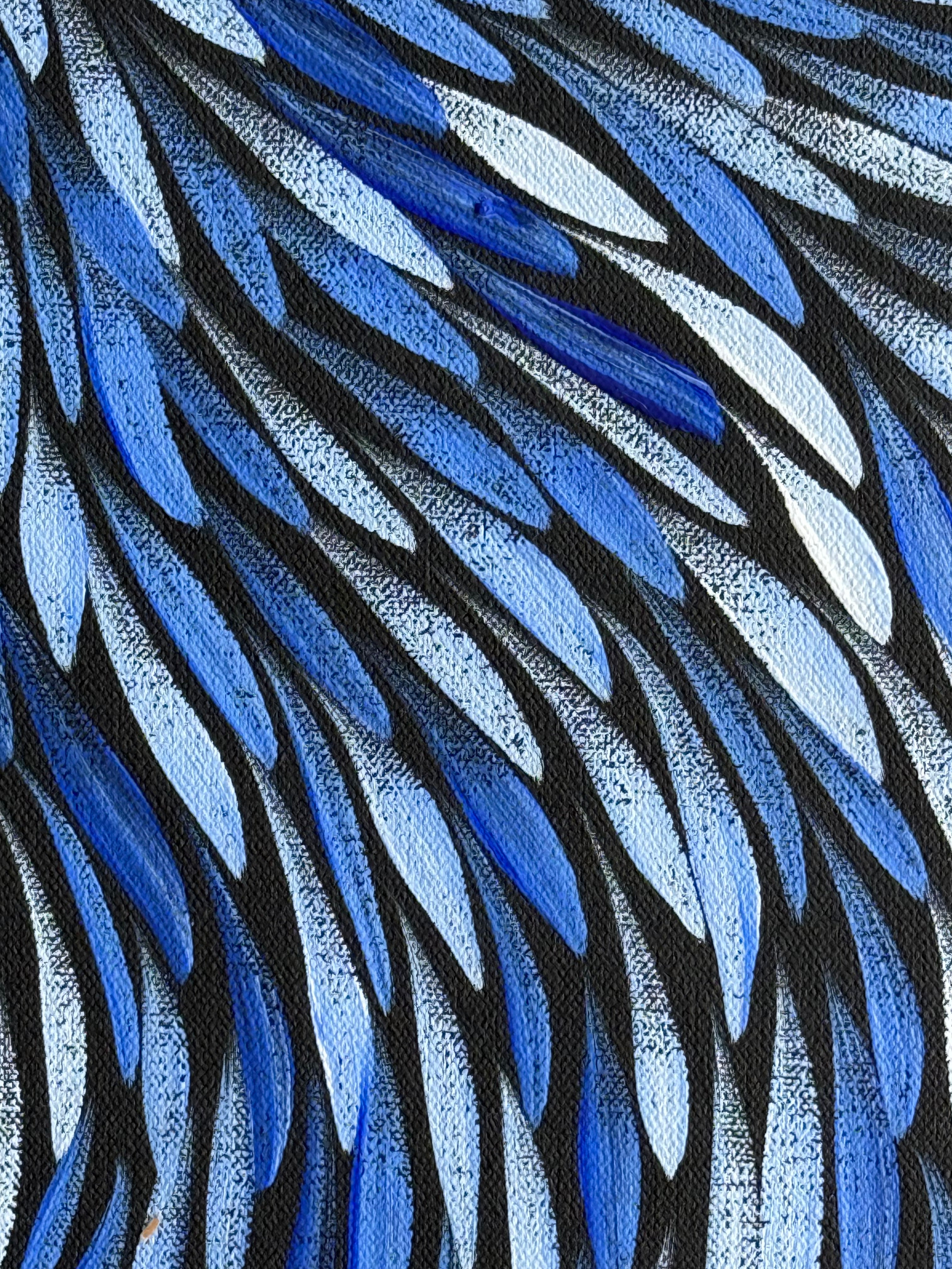 Sharon Numina - Bush Medicine Leaves .01-6