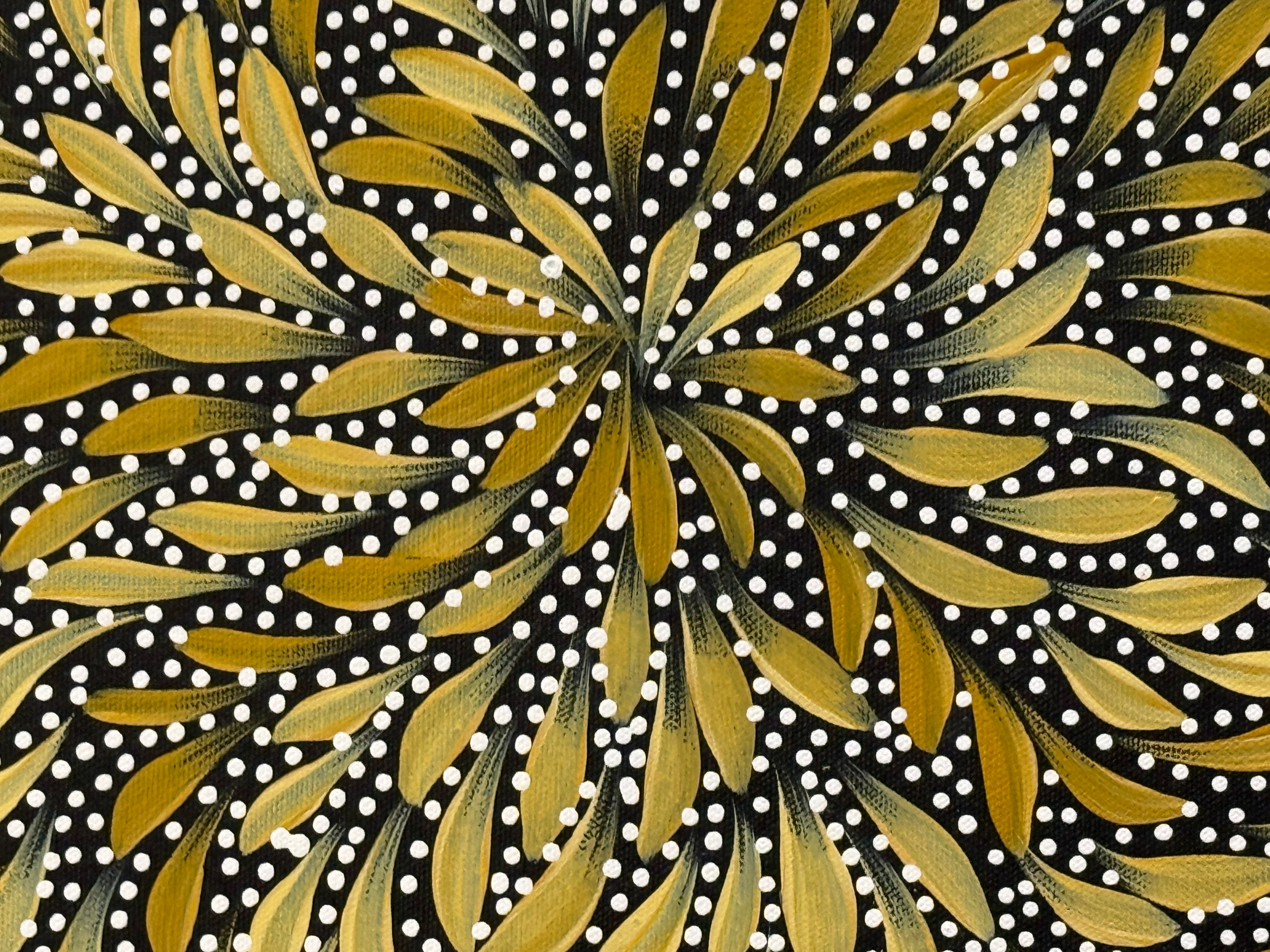 Caroline Numina - Bush Medicine Leaves and Seeds .04-22