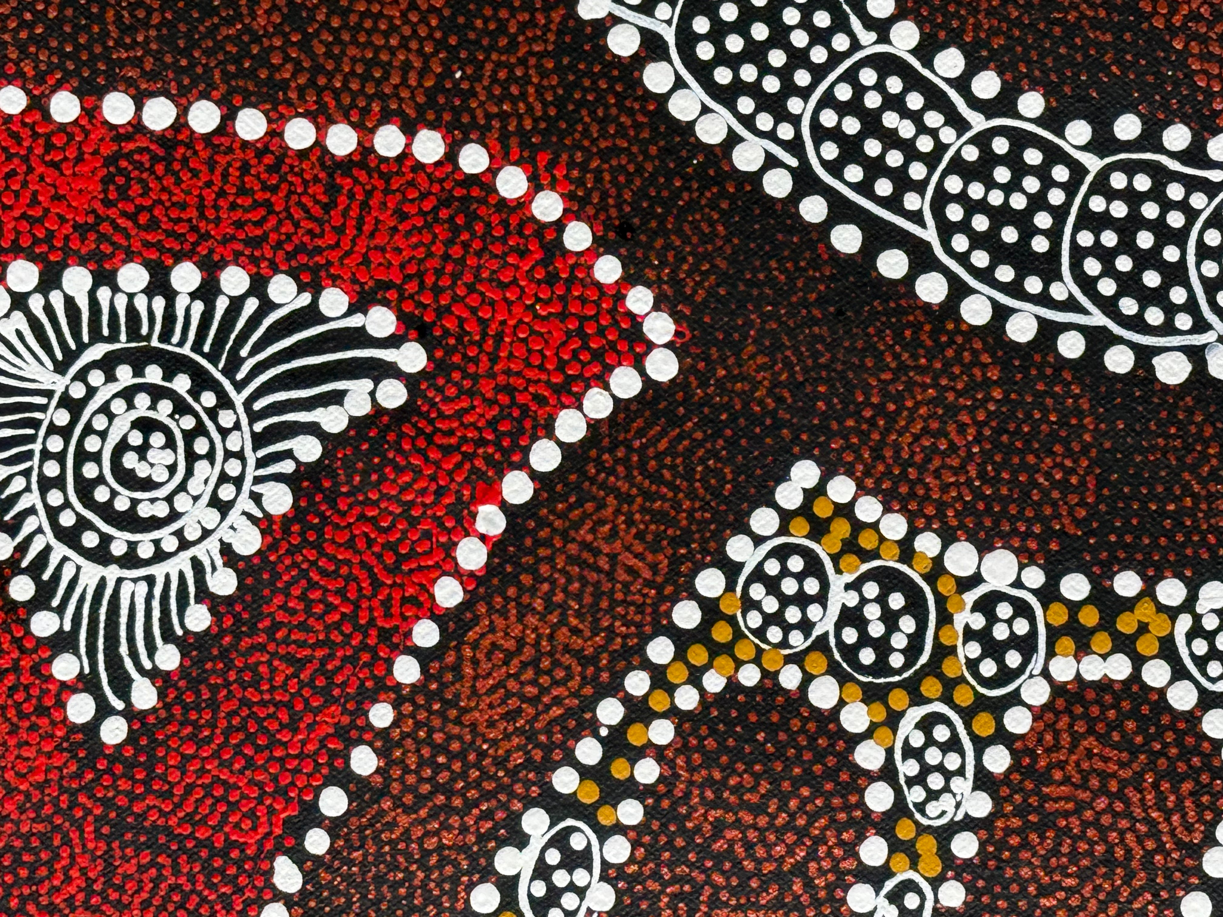 Caroline Numina - My Country, Thorny Lizard Dreaming .35-5