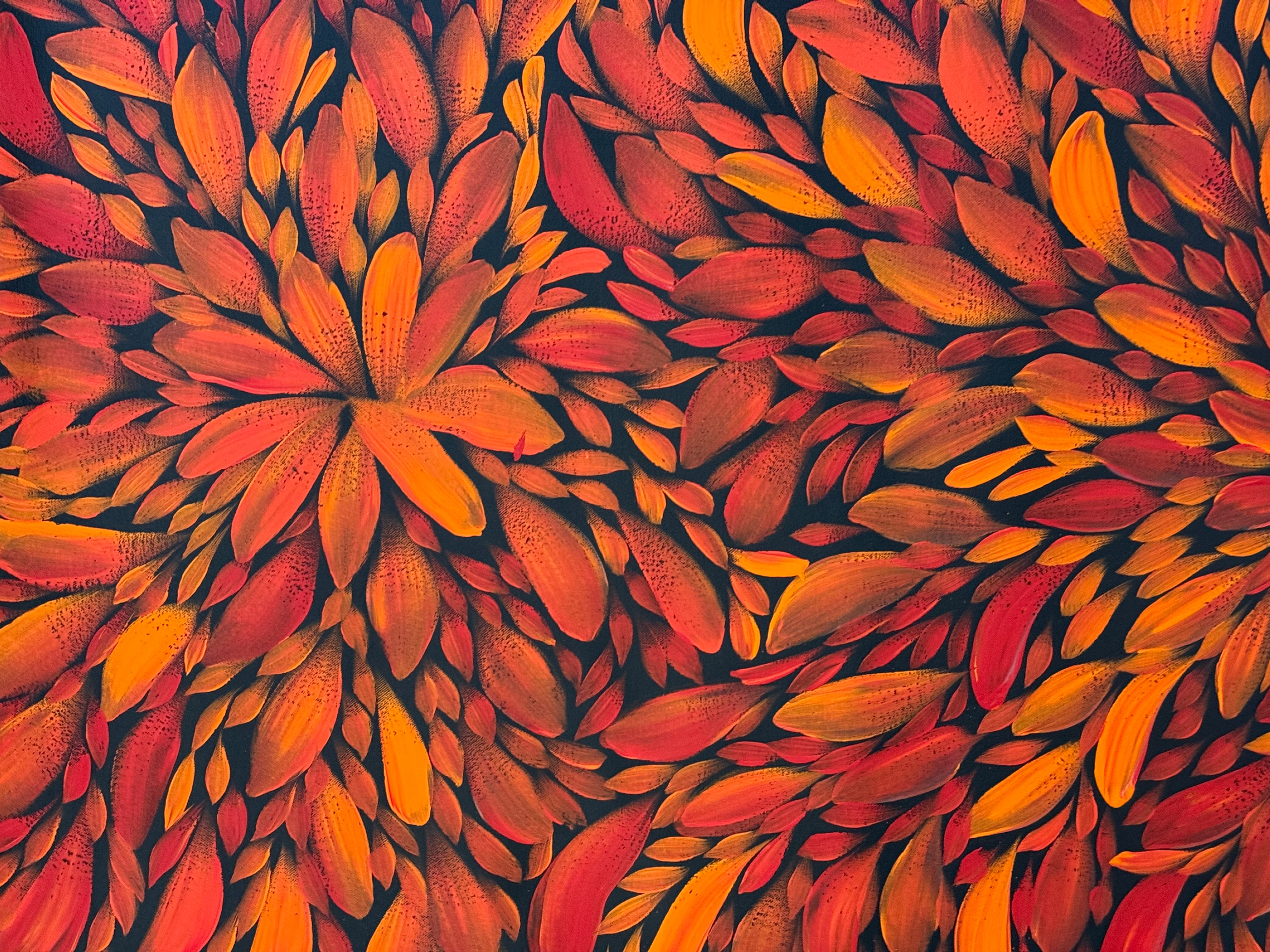Louise Numina Napananka - Bush Medicine Leaves .21-7