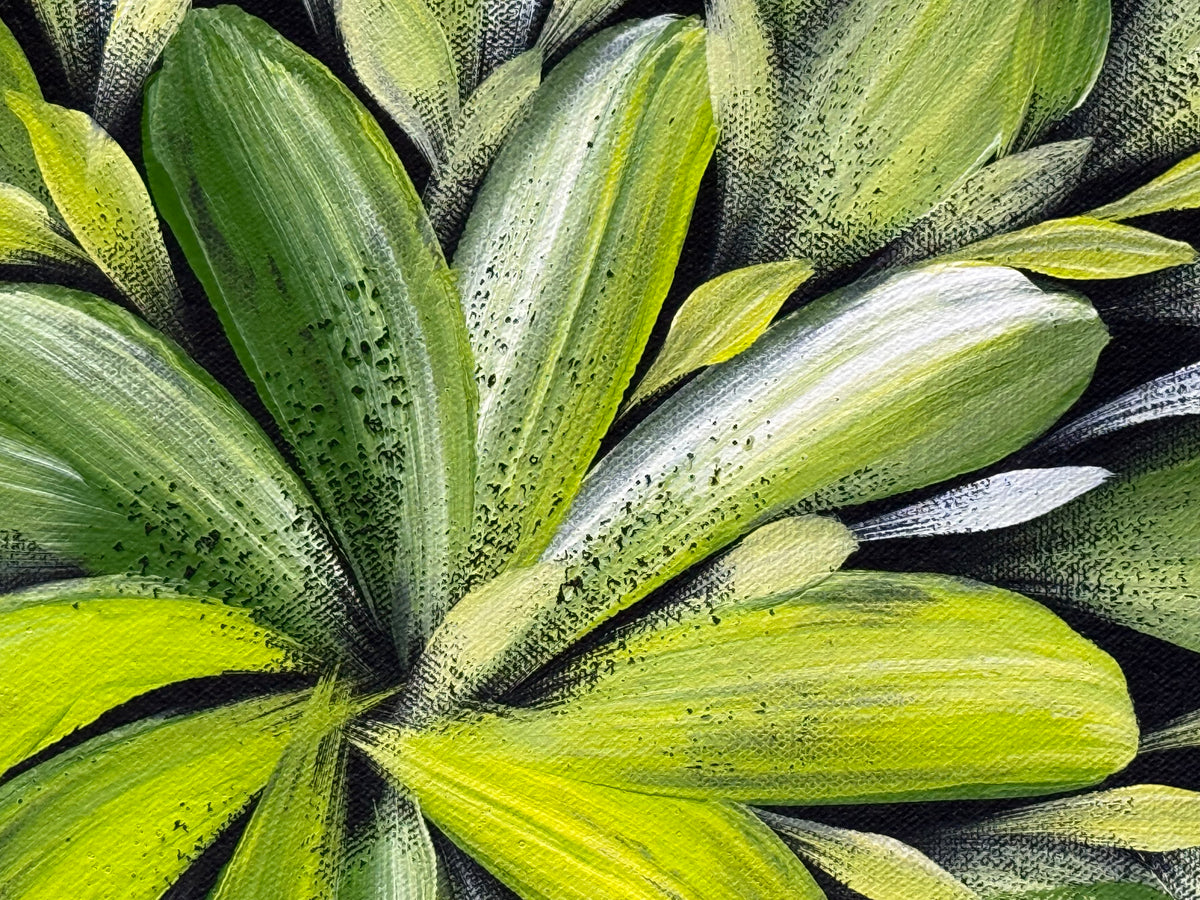 Louise Numina Napananka - Bush Medicine Leaves .43-9