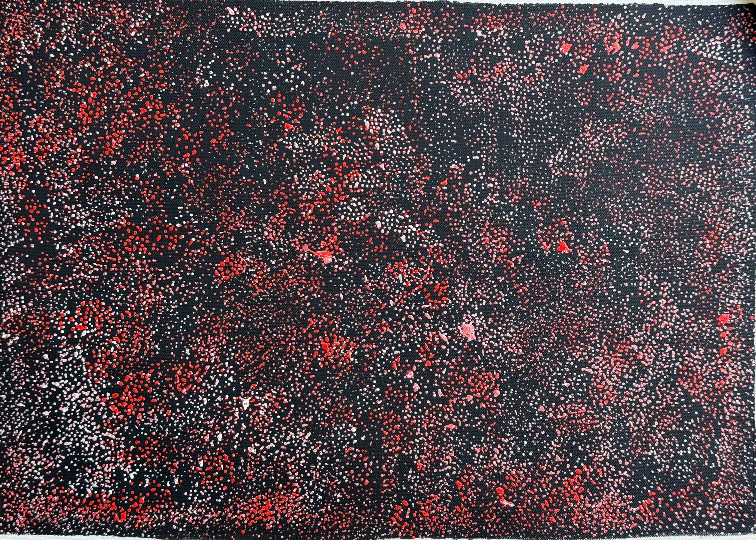 Louise Numina Napananka - Thorny Lizard .62-33