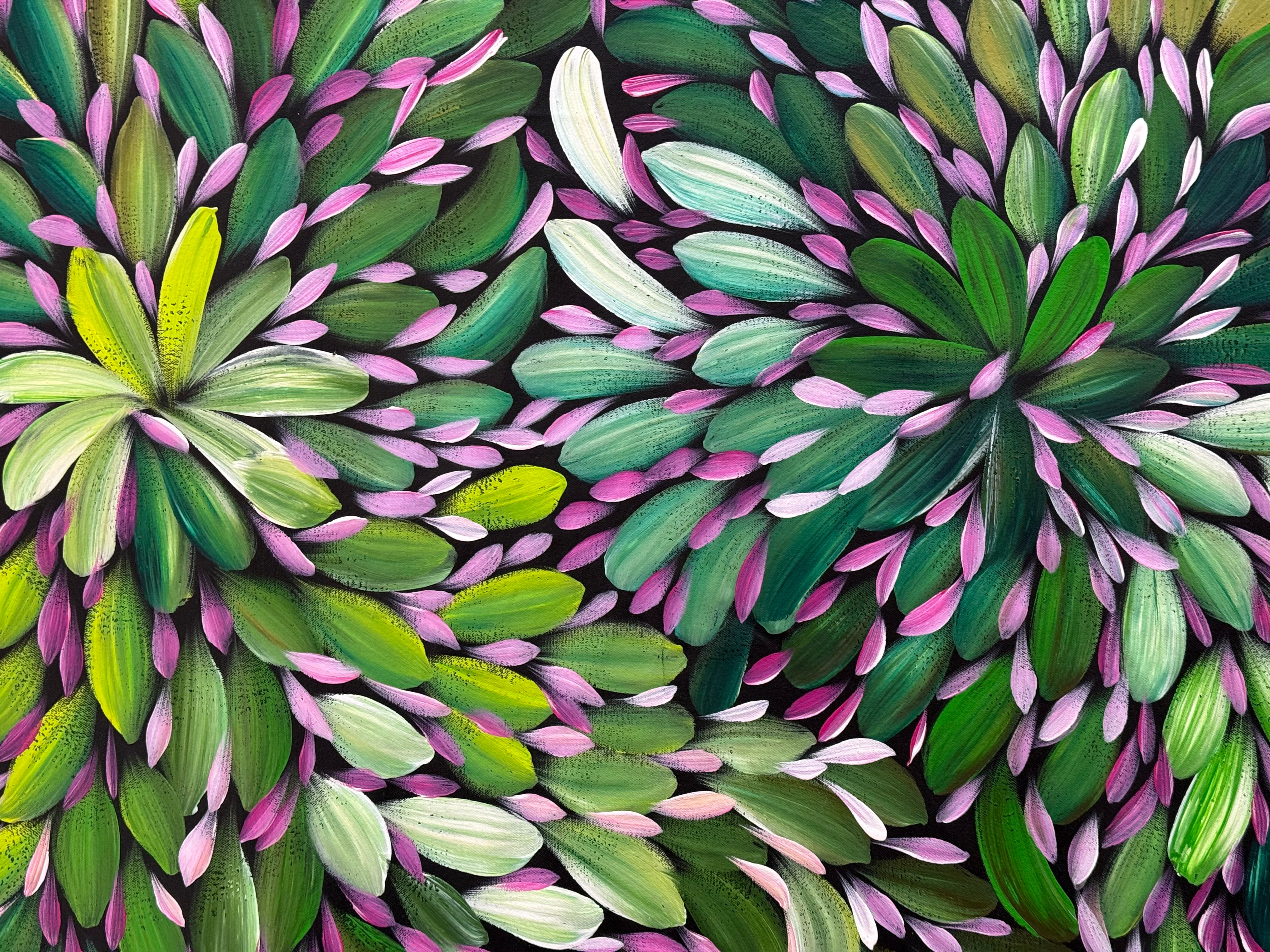Louise Numina Napananka - Bush Medicine Leaves .16-27