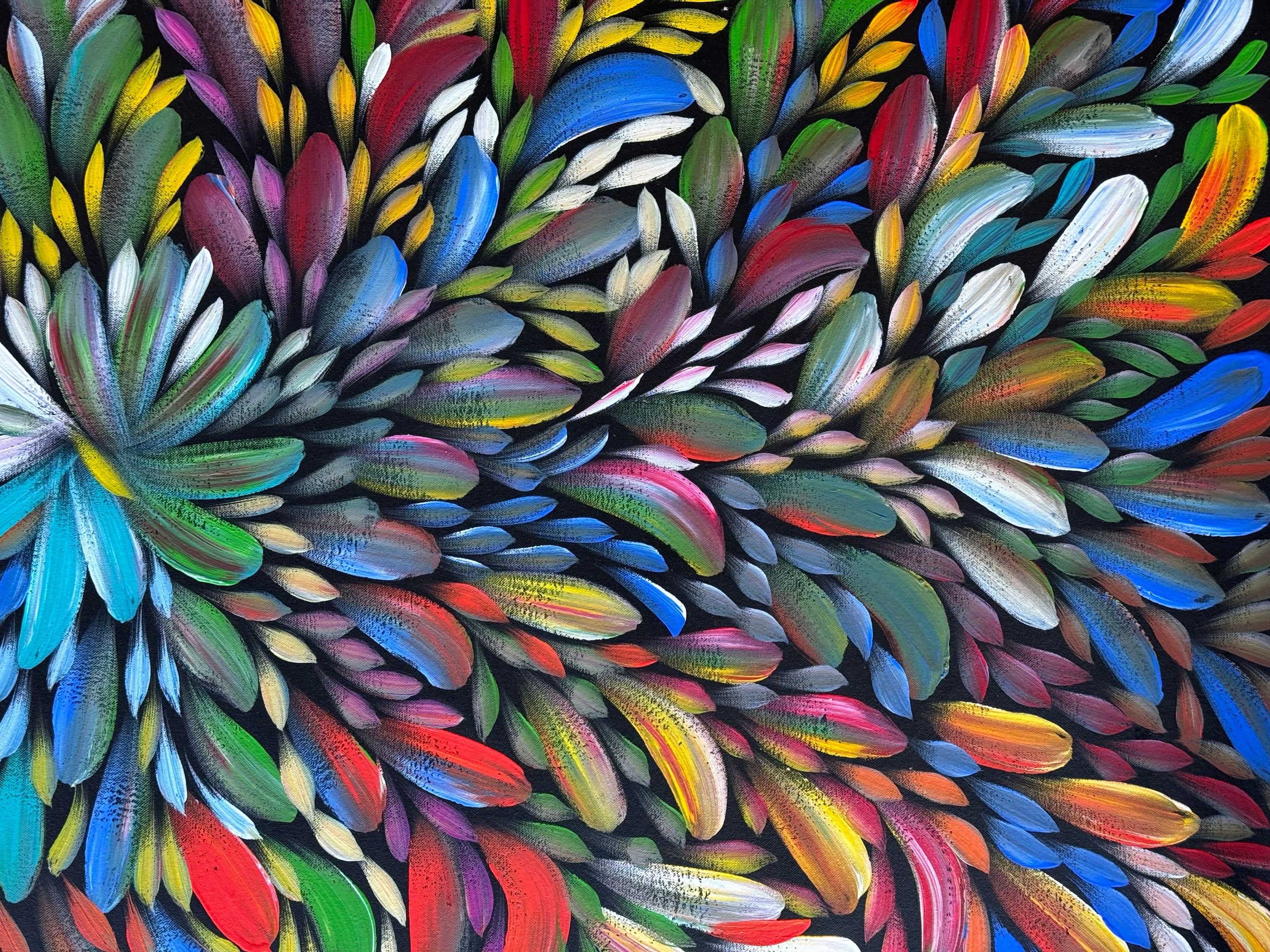 Louise Numina Napananka - Bush Medicine Leaves .42-1