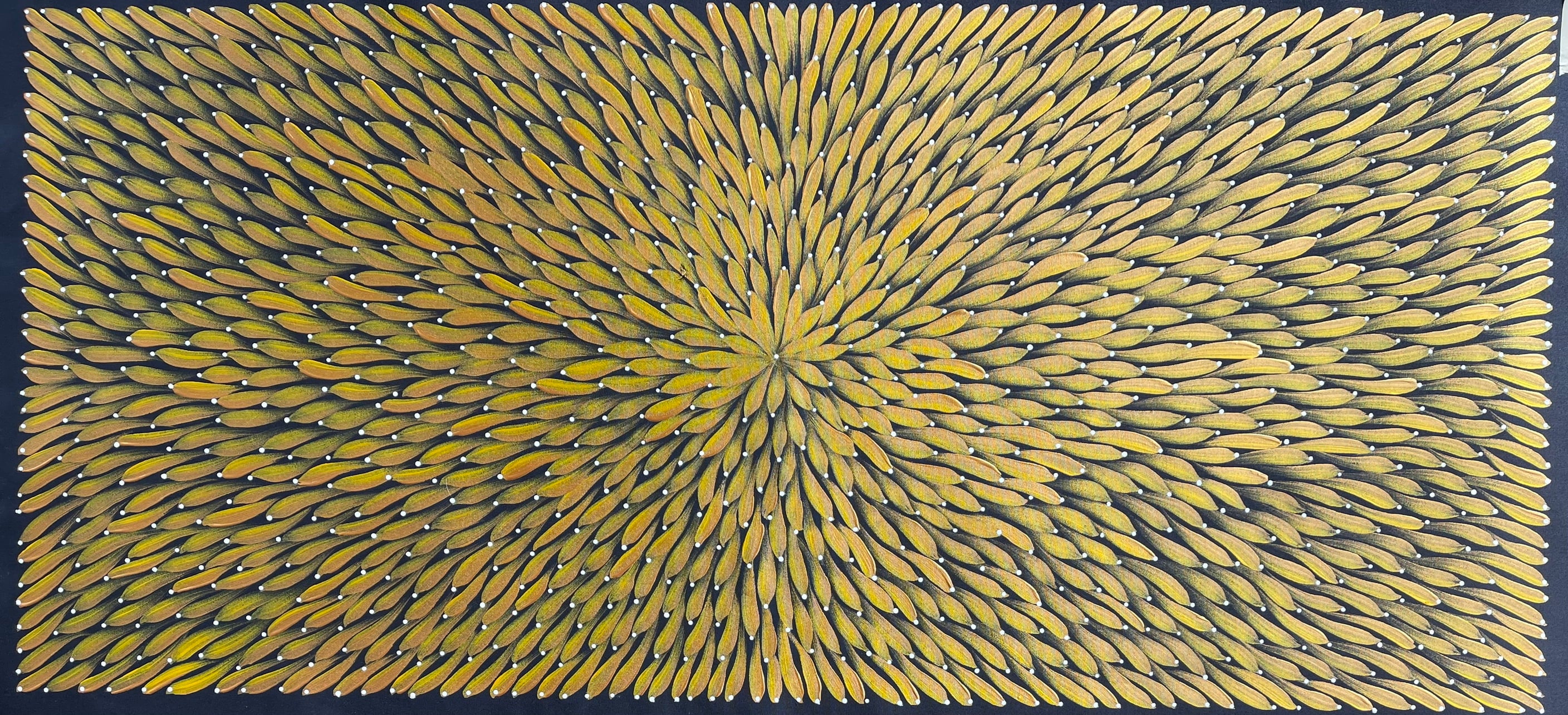 Maryanne Gibson - Bush Medicine - 129x58cm .24-4