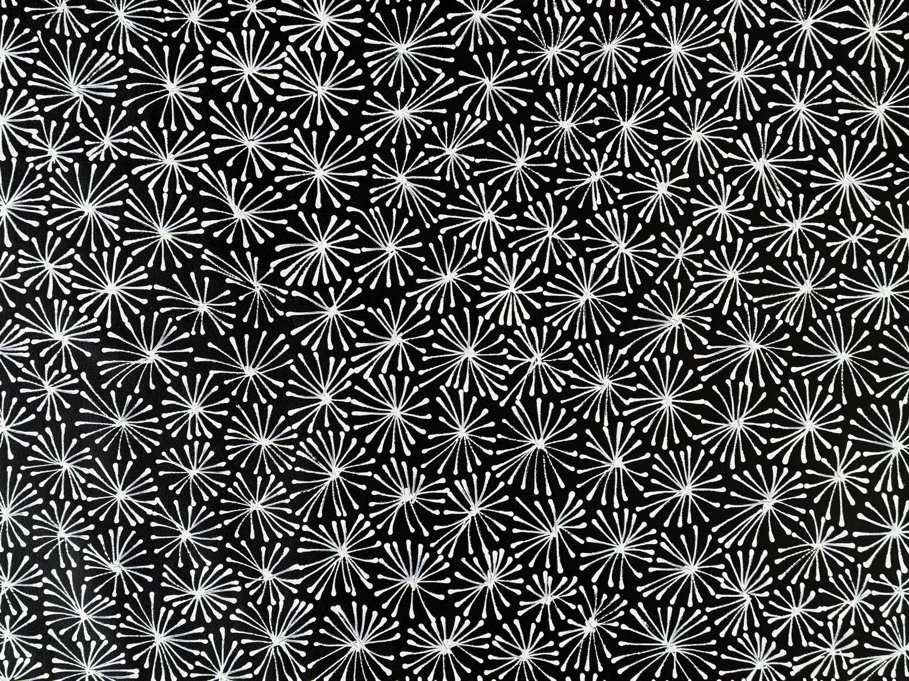 Sharon Numina - Thorny Lizard Skins .68-3