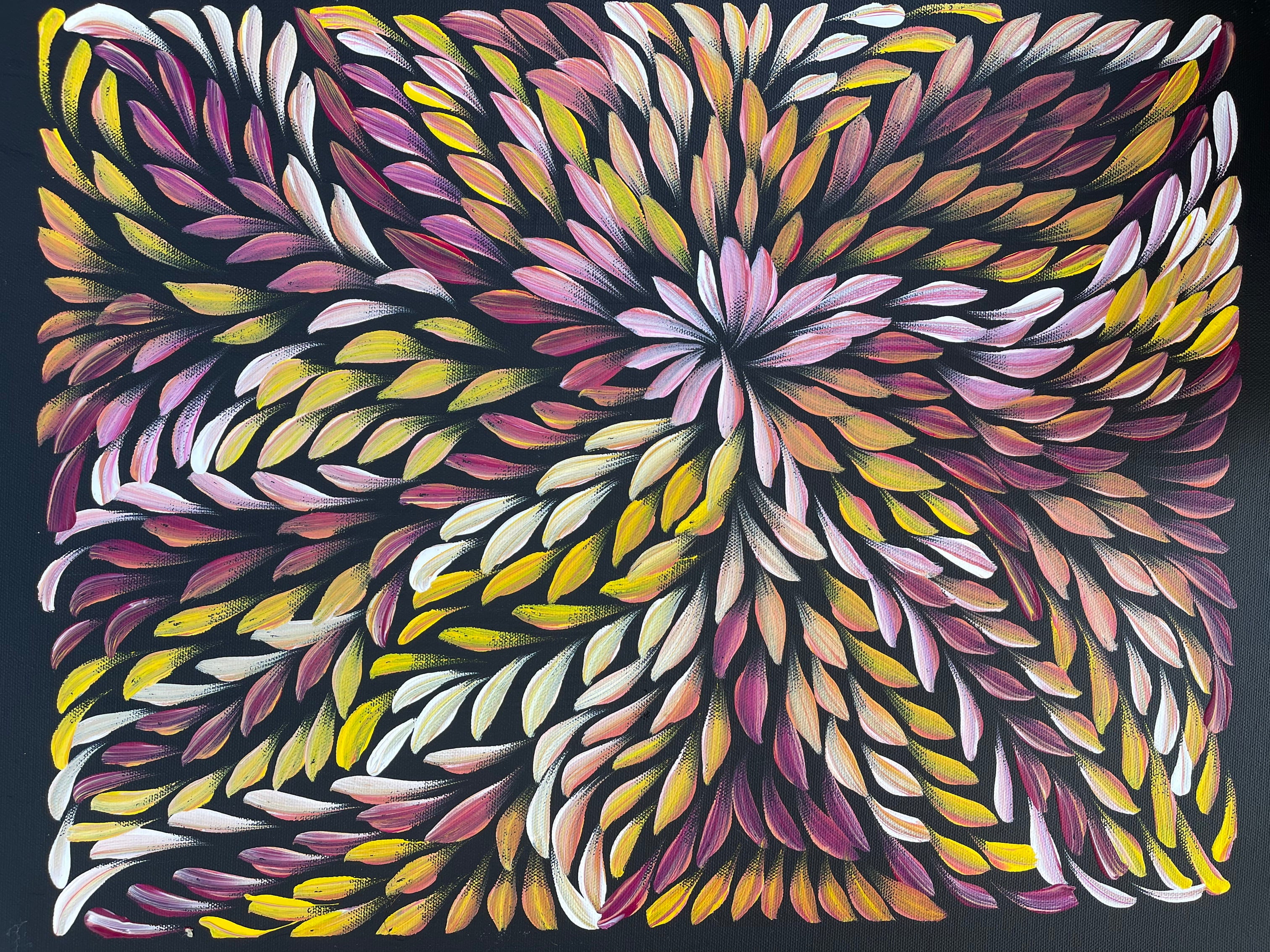 Caroline Numina - Bush Medicine Leaves - 43x33cm .31-10