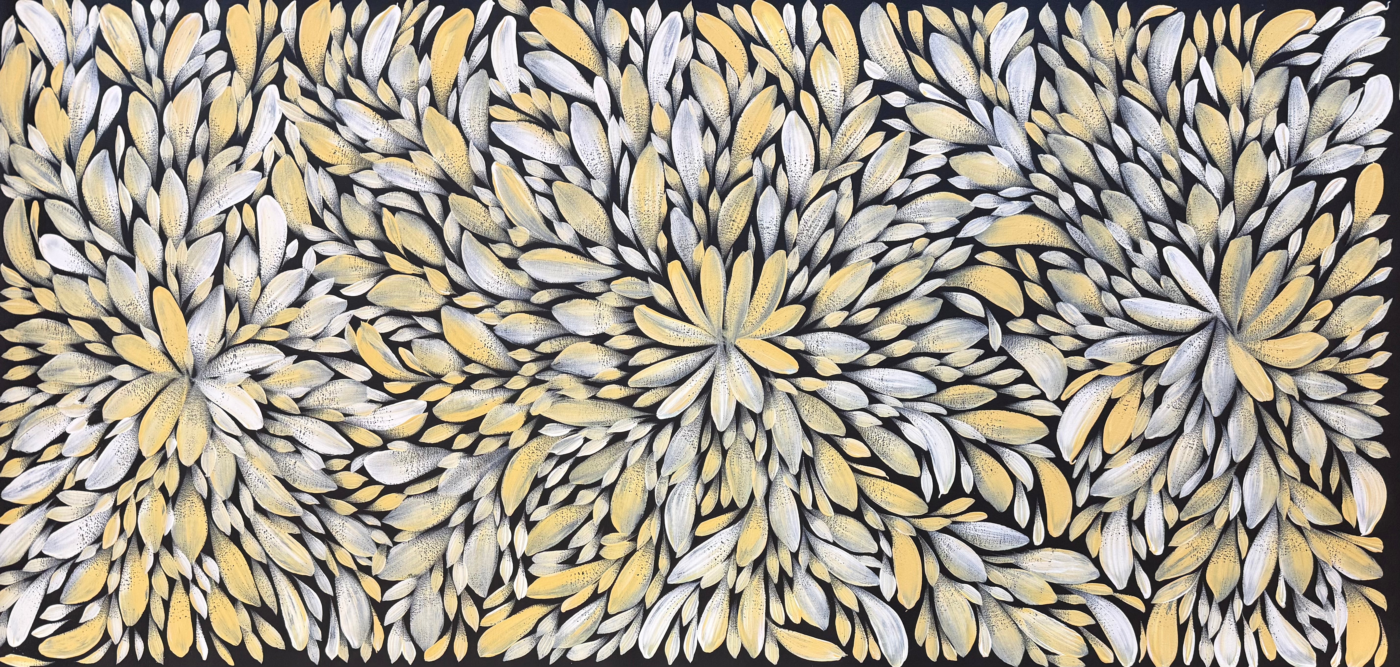 Louise Numina Napananka - Bush Medicine Leaves .21-8