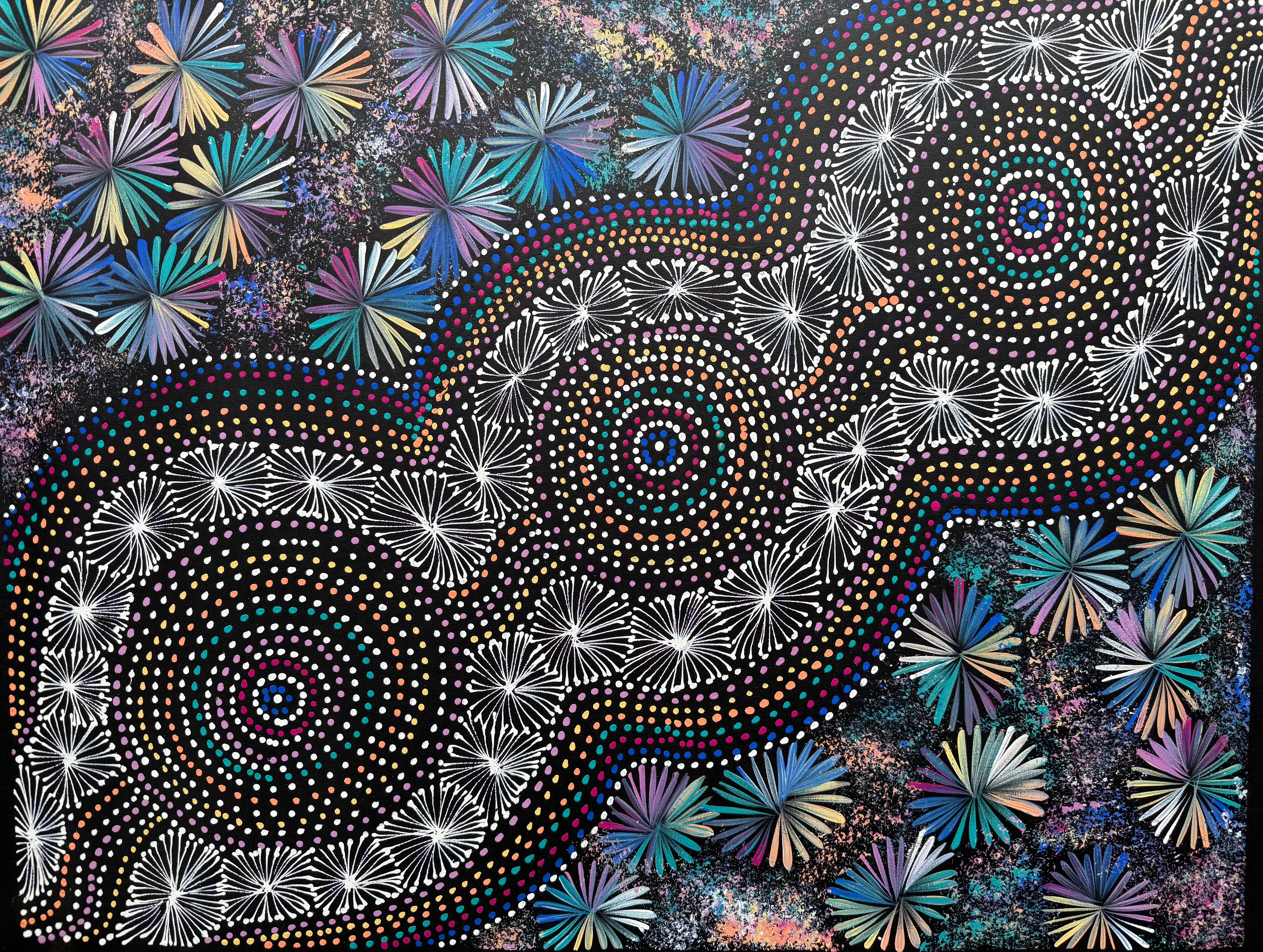 Selina Numina Kamprina - Seeds and Waterholes .92-1