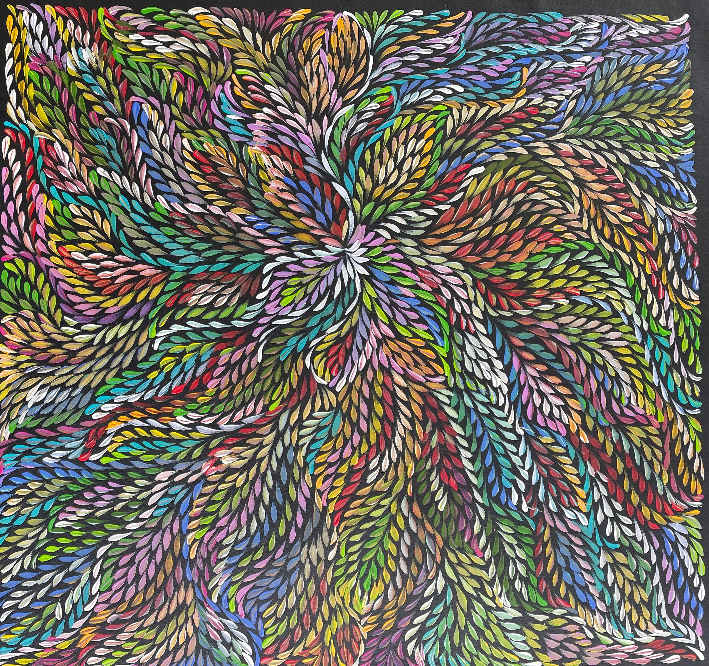 Caroline Numina - Bush Medicine Leaves .62-1