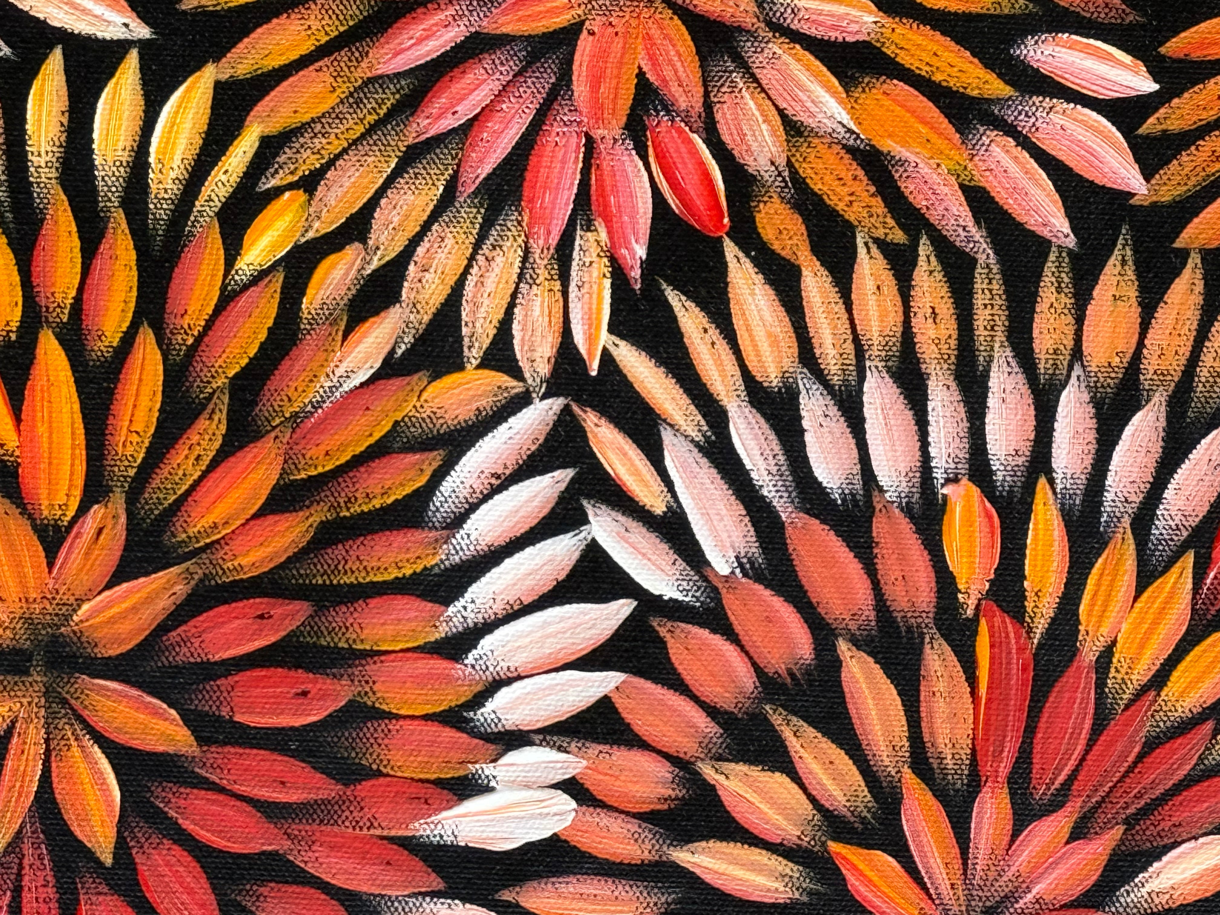 Sharon Numina - Bush Medicine Flowers .83-6