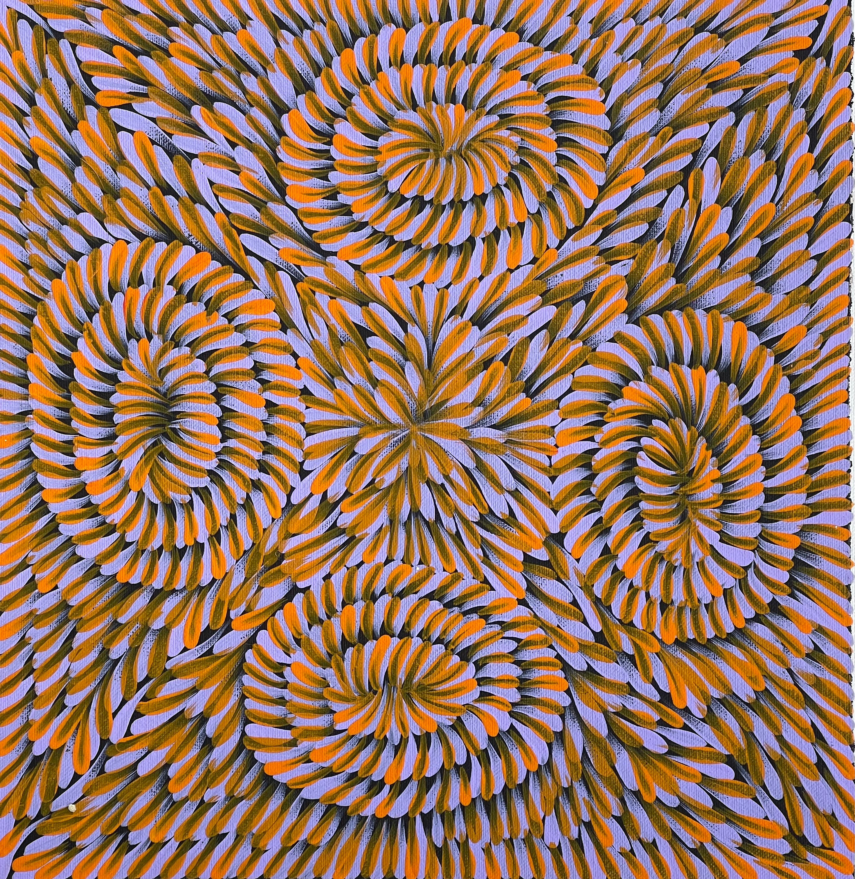 Mary Pitjara - Medicine Leaves .96-8