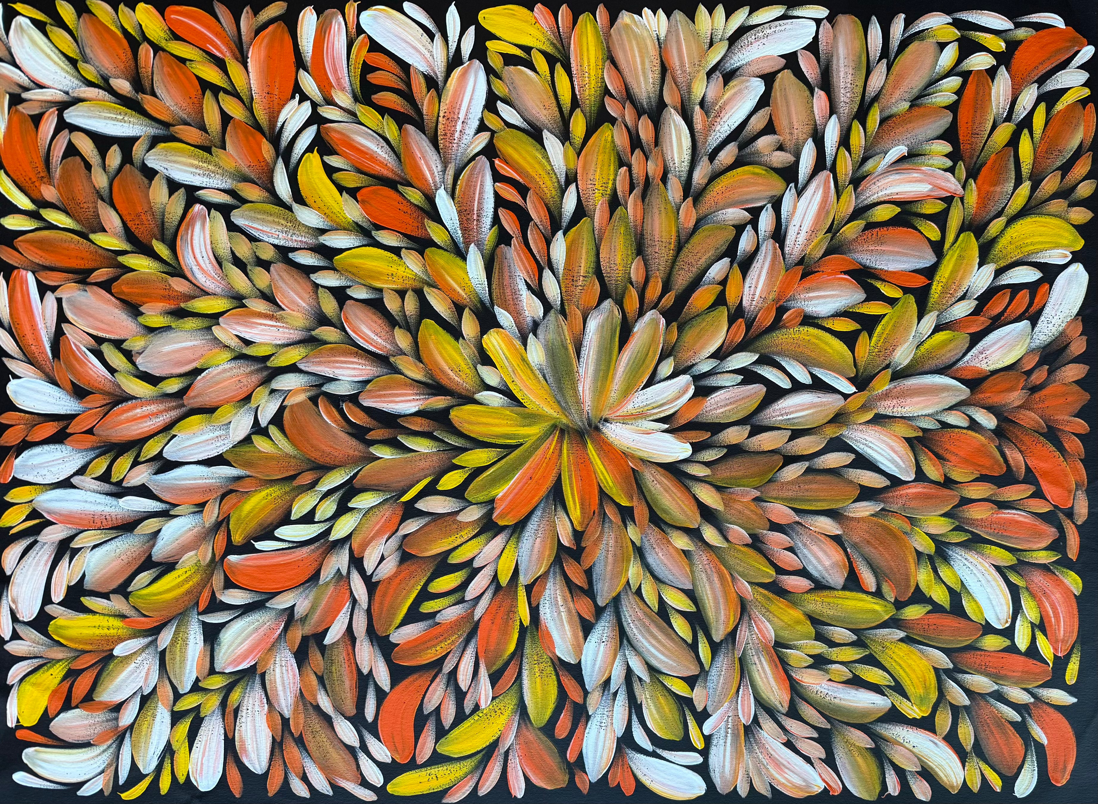 Louise Numina Napananka - Bush Medicine Leaves .49-6