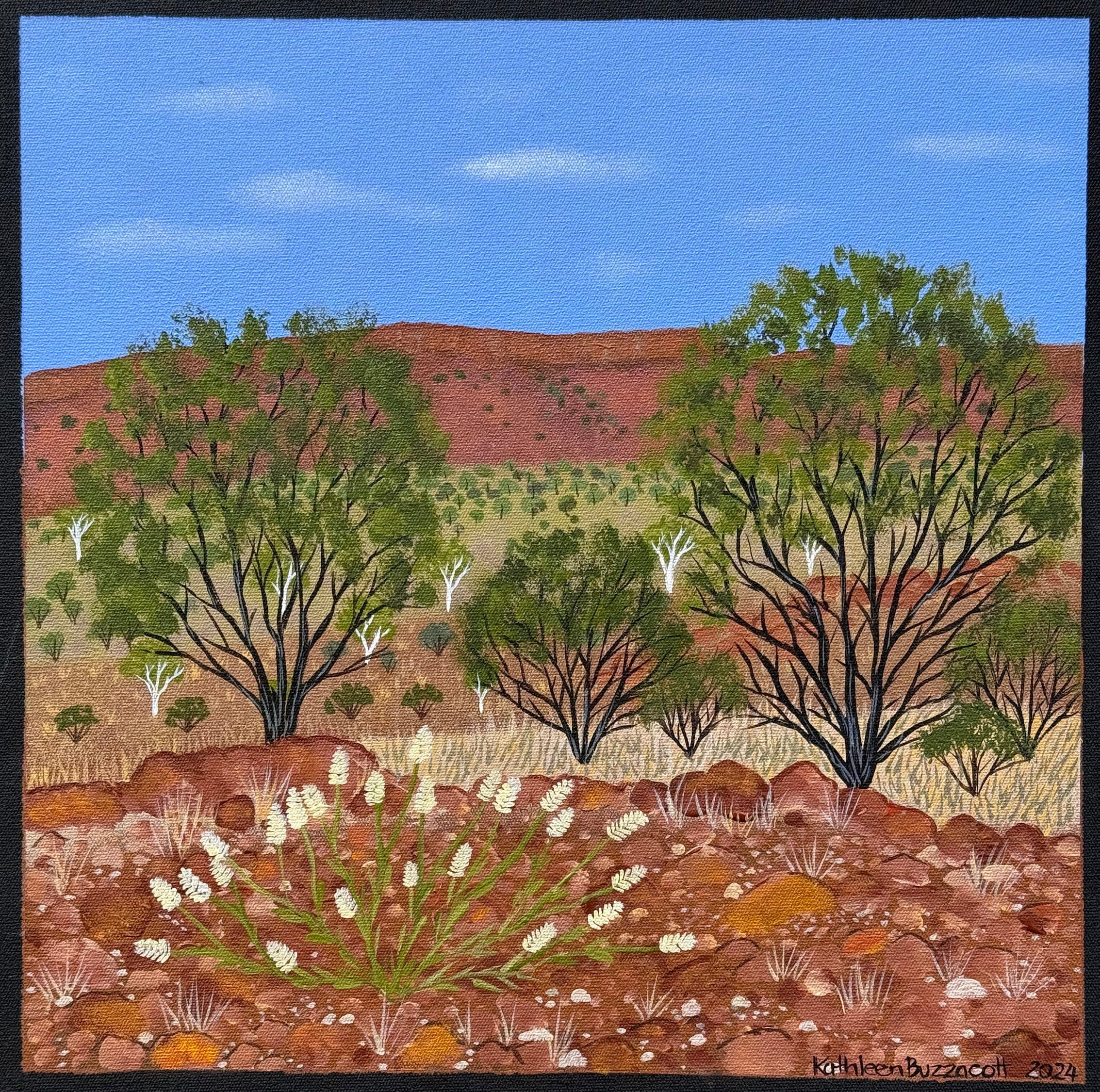 Kathleen Buzzacott - Central Australia .17-19