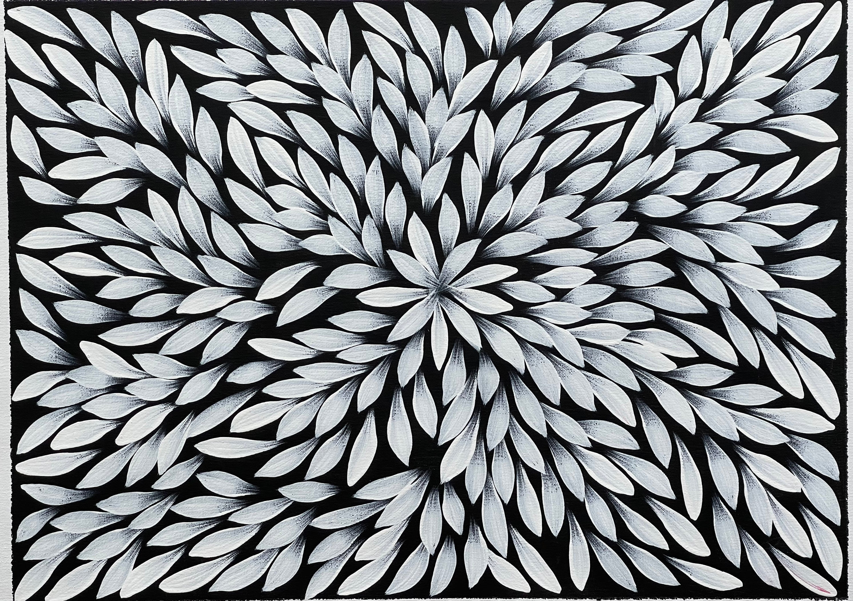 Jacinta Numina Waugh - Bush Medicine Leaves - 38x53cm .39-20