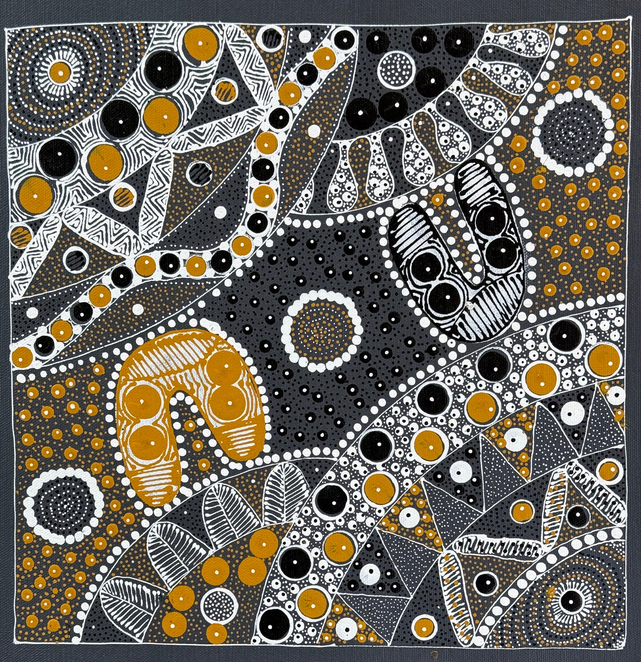 Alvira Bird - Alpar Rat Tail Plant .48-13