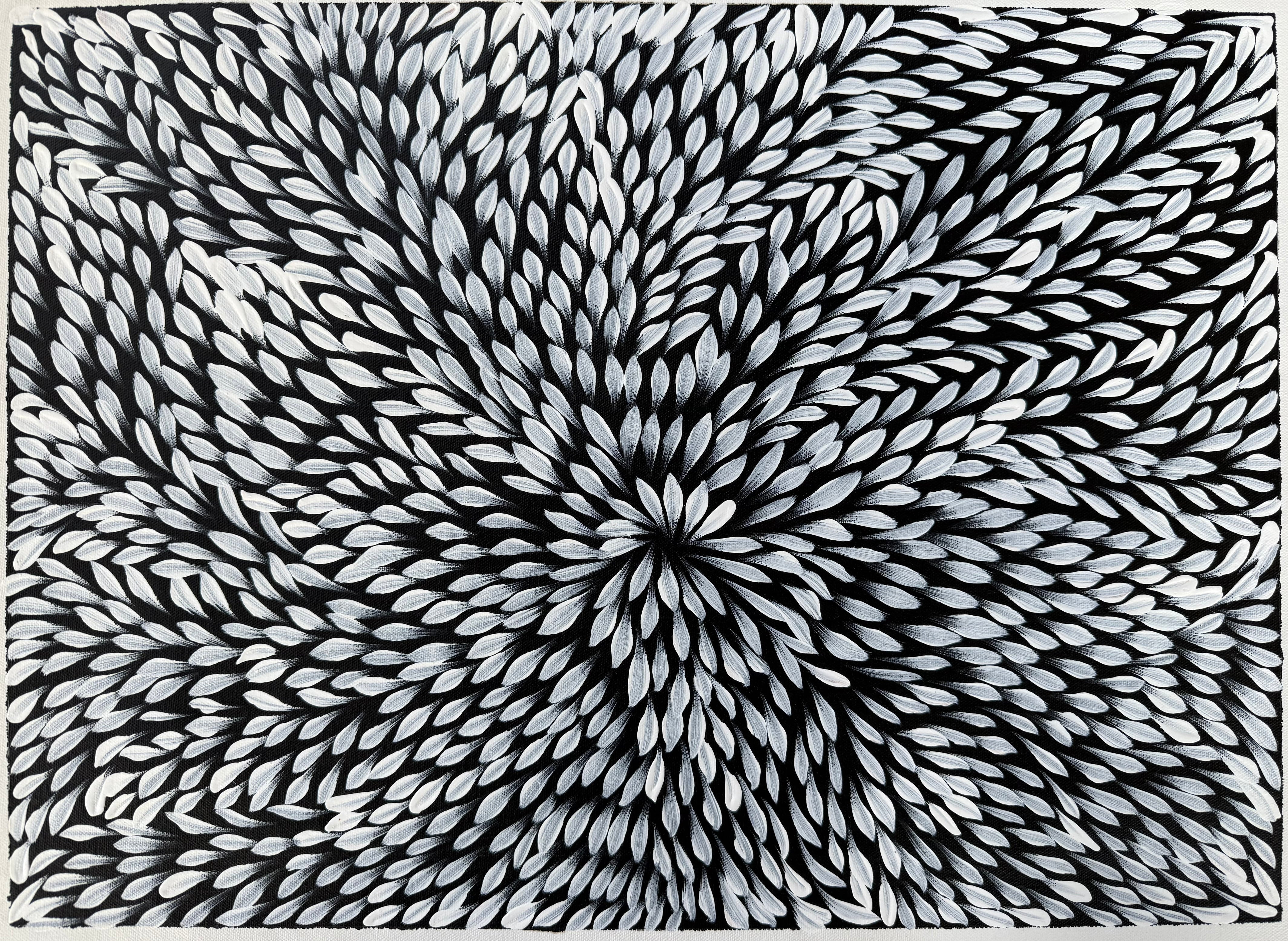 Caroline Numina - Bush Medicine Leaves .17-4