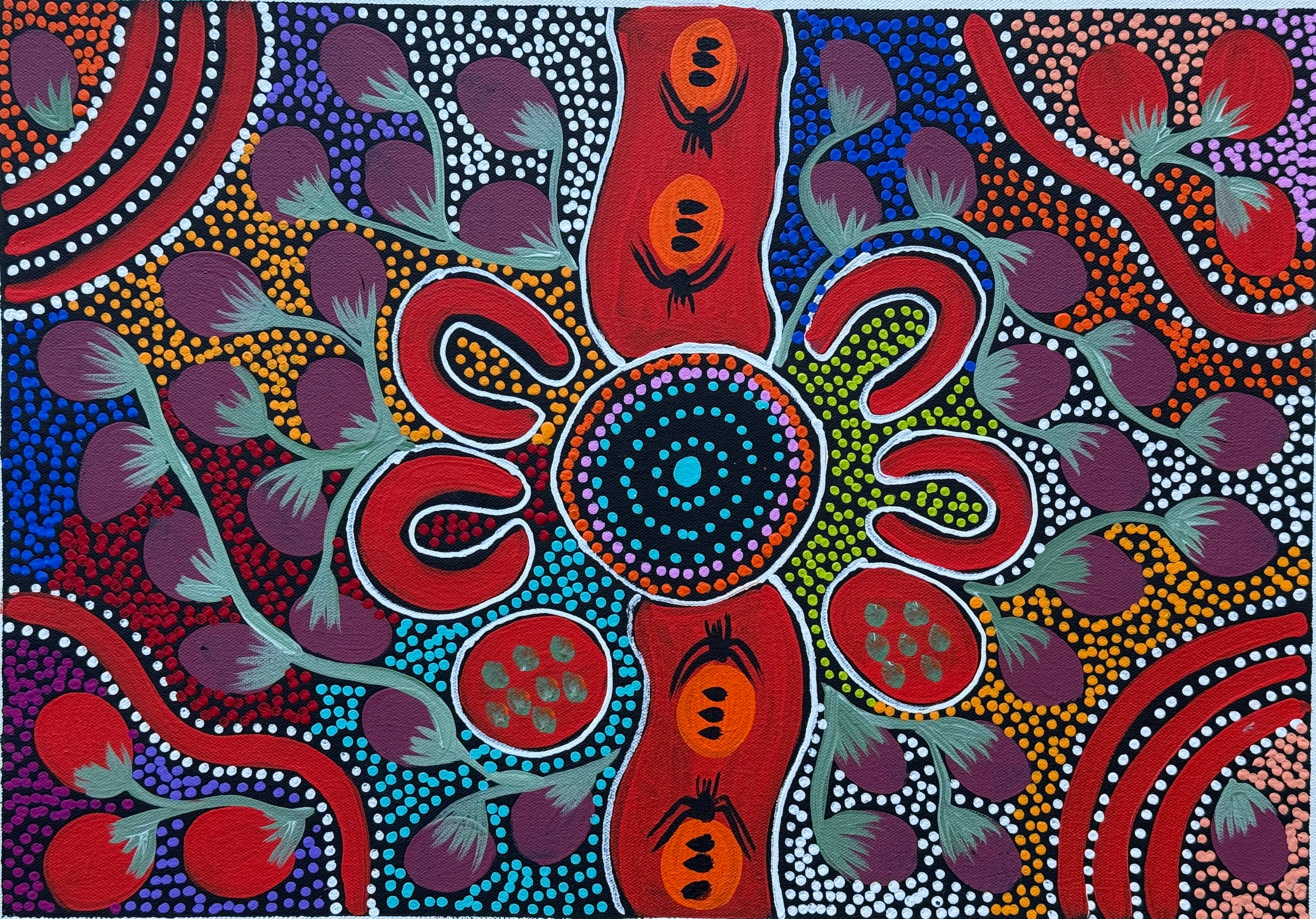 Louise Numina Napananka - Bush Tucker .20-3