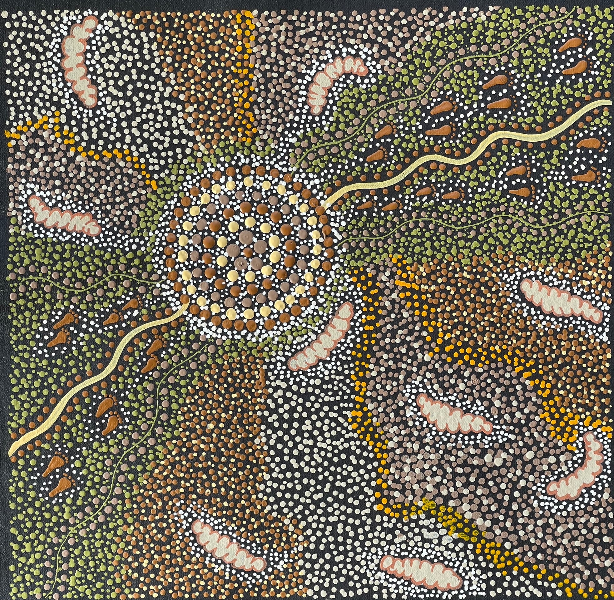 Deidre Burgoyne Rosier - Bush Tucker - 31x30cm .12-16