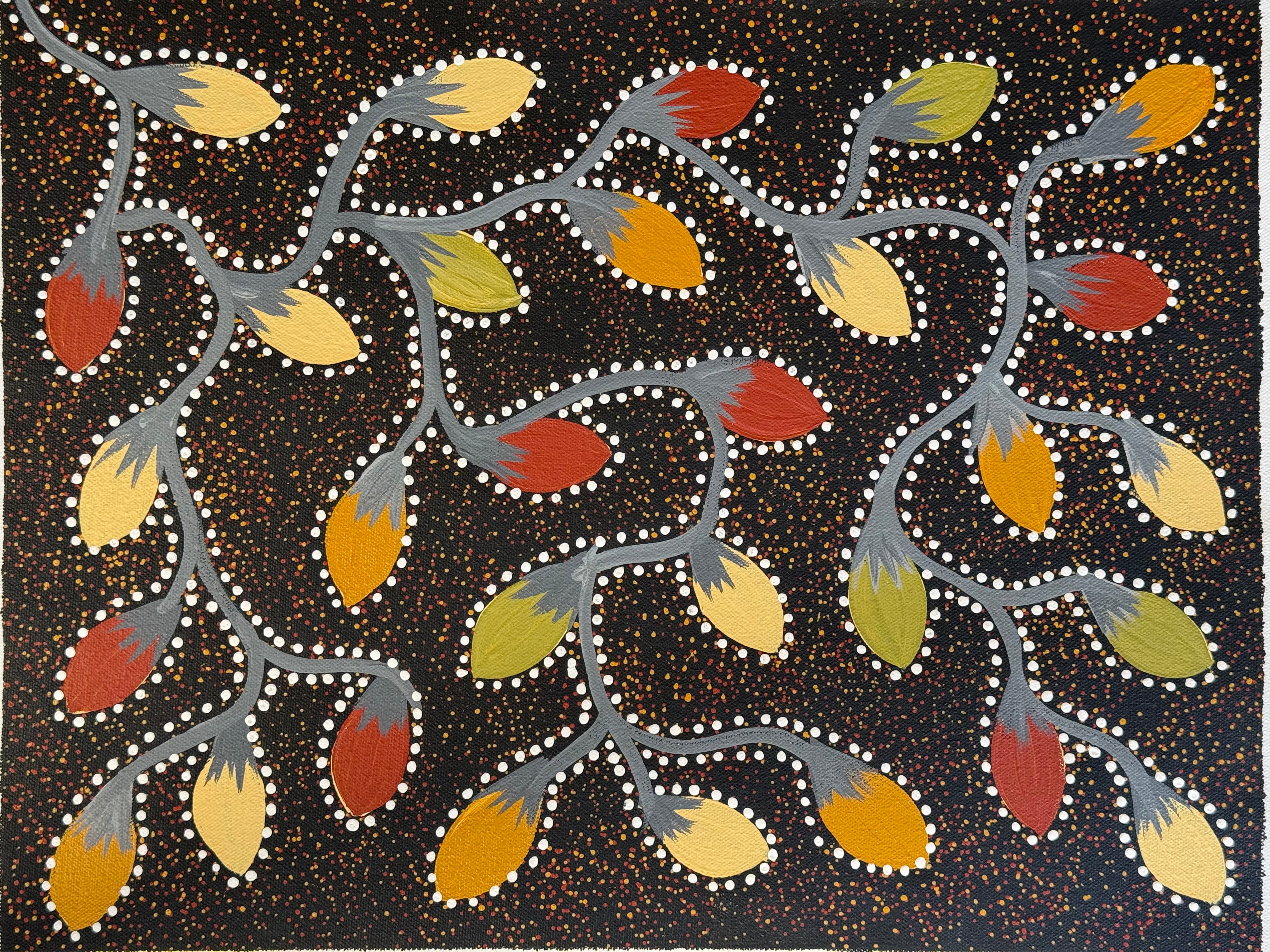 Jacinta Numina Waugh - Bush Tomatoes .12-17