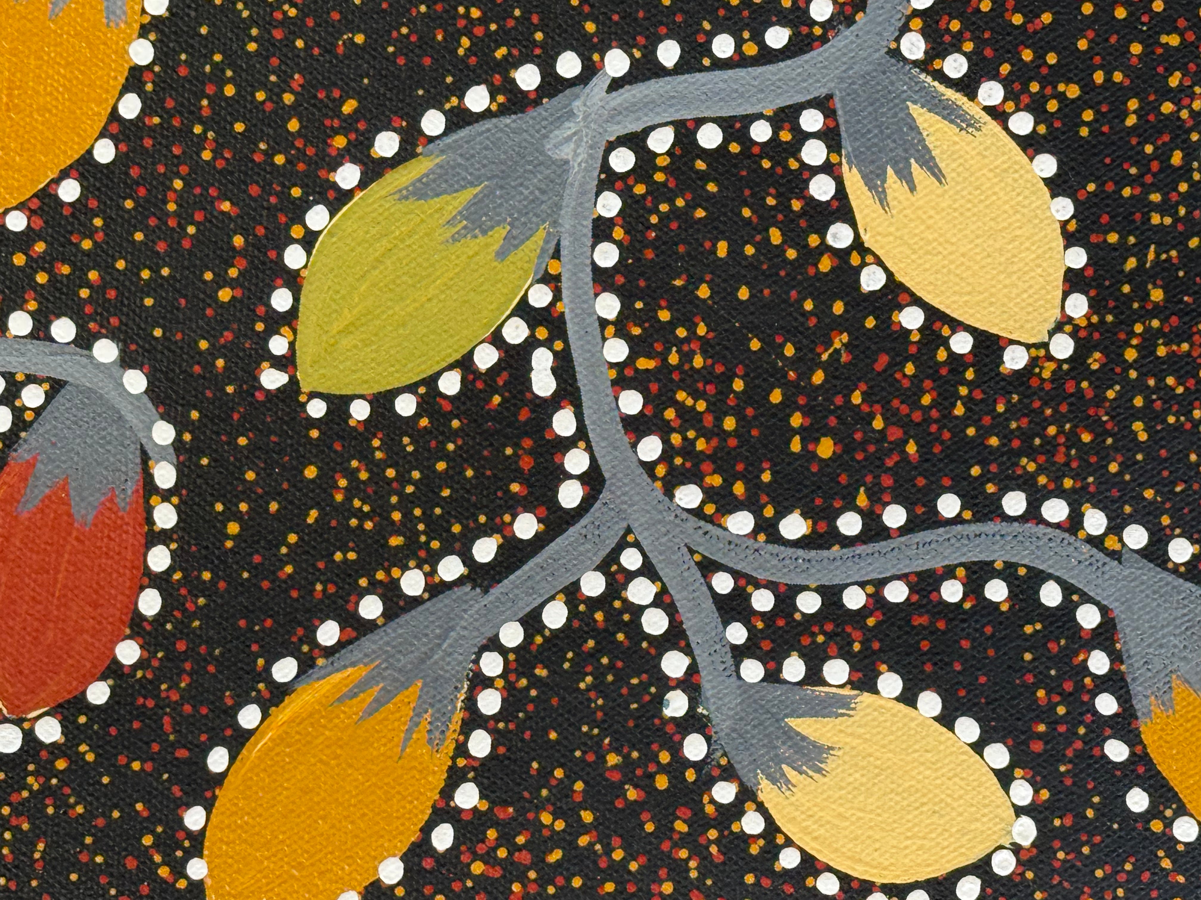 Jacinta Numina Waugh - Bush Tomatoes .12-17