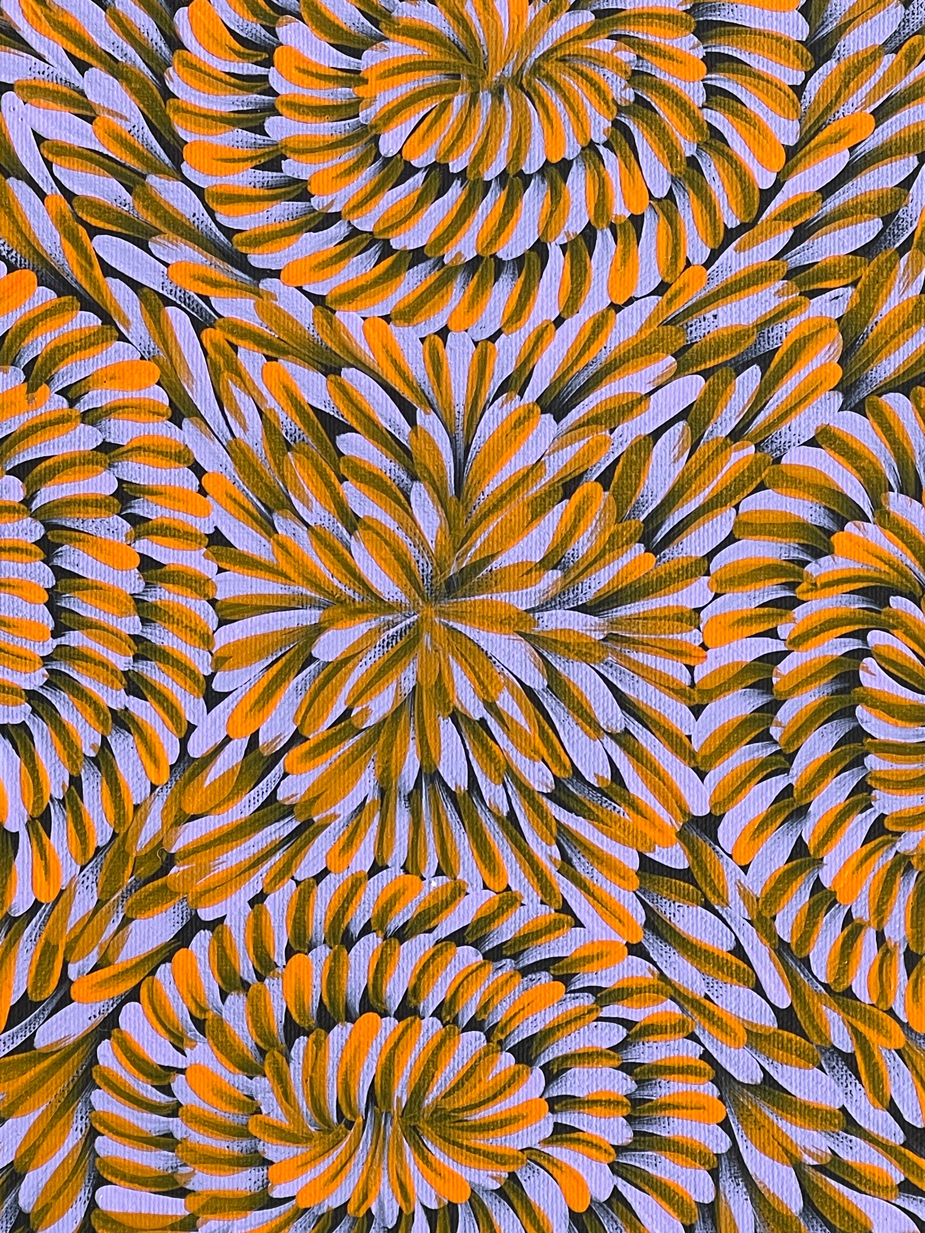 Mary Pitjara - Medicine Leaves .96-8